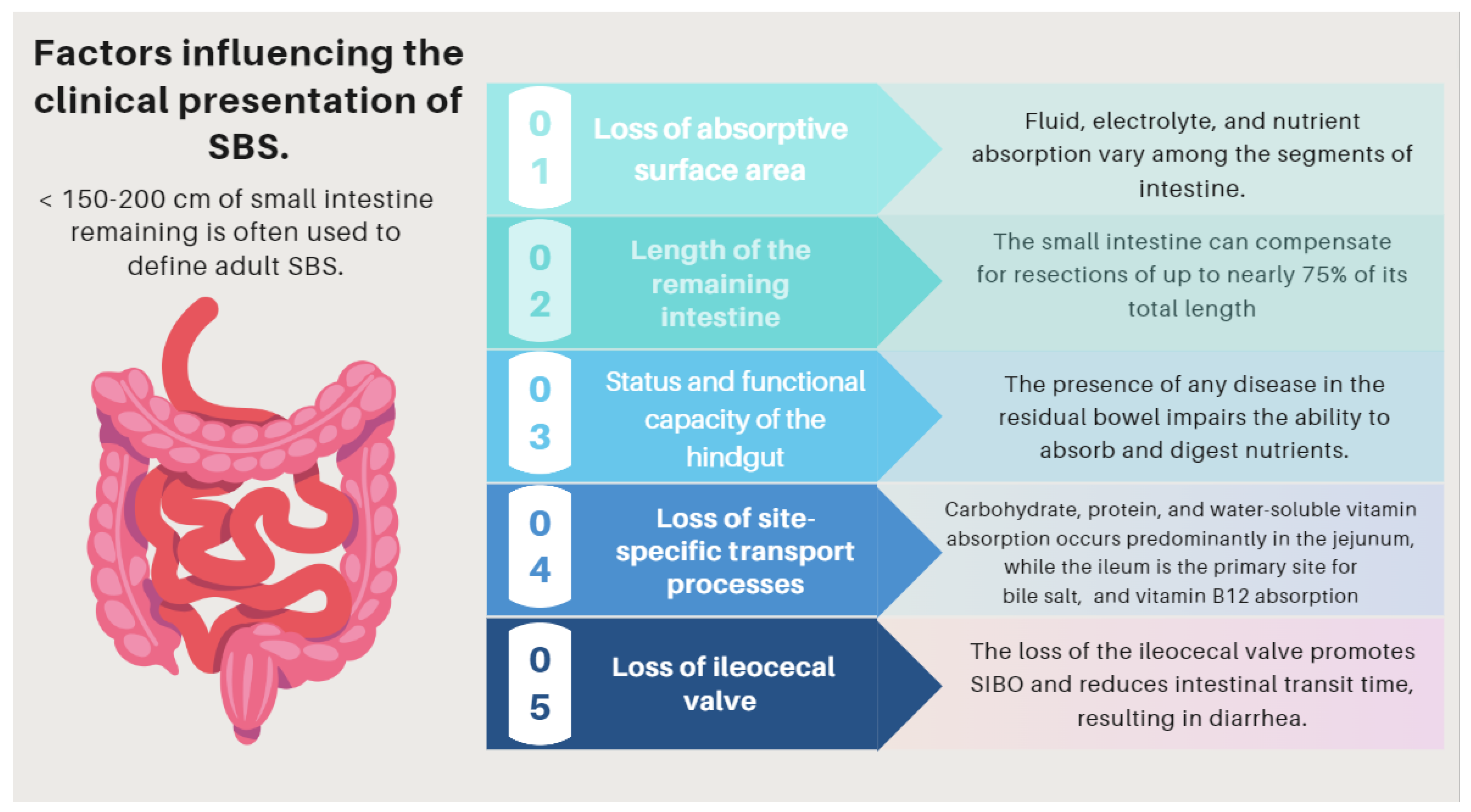 Nutrients 16 00246 g005