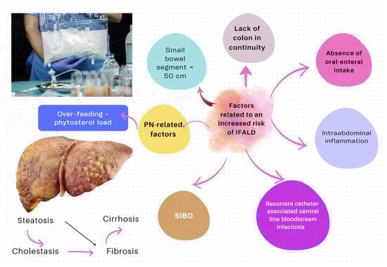 Nutrients 16 00246 g006