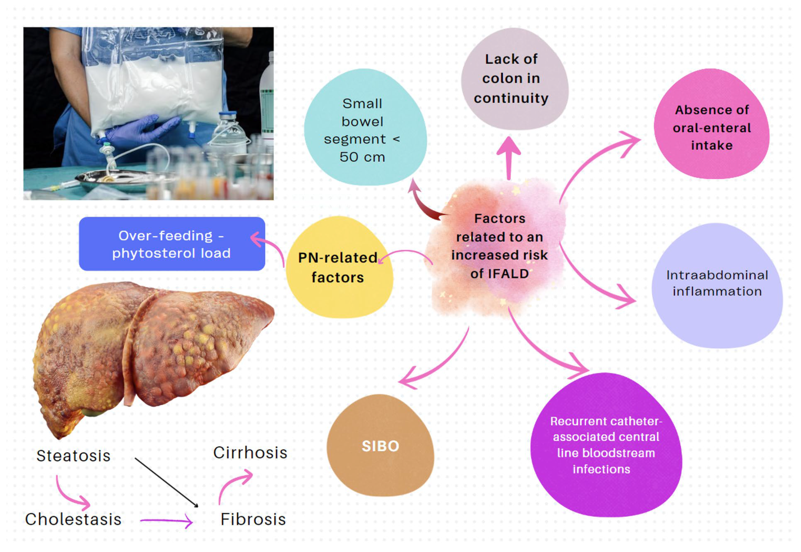 Nutrients 16 00246 g006