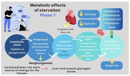 Nutrients 16 00246 g007