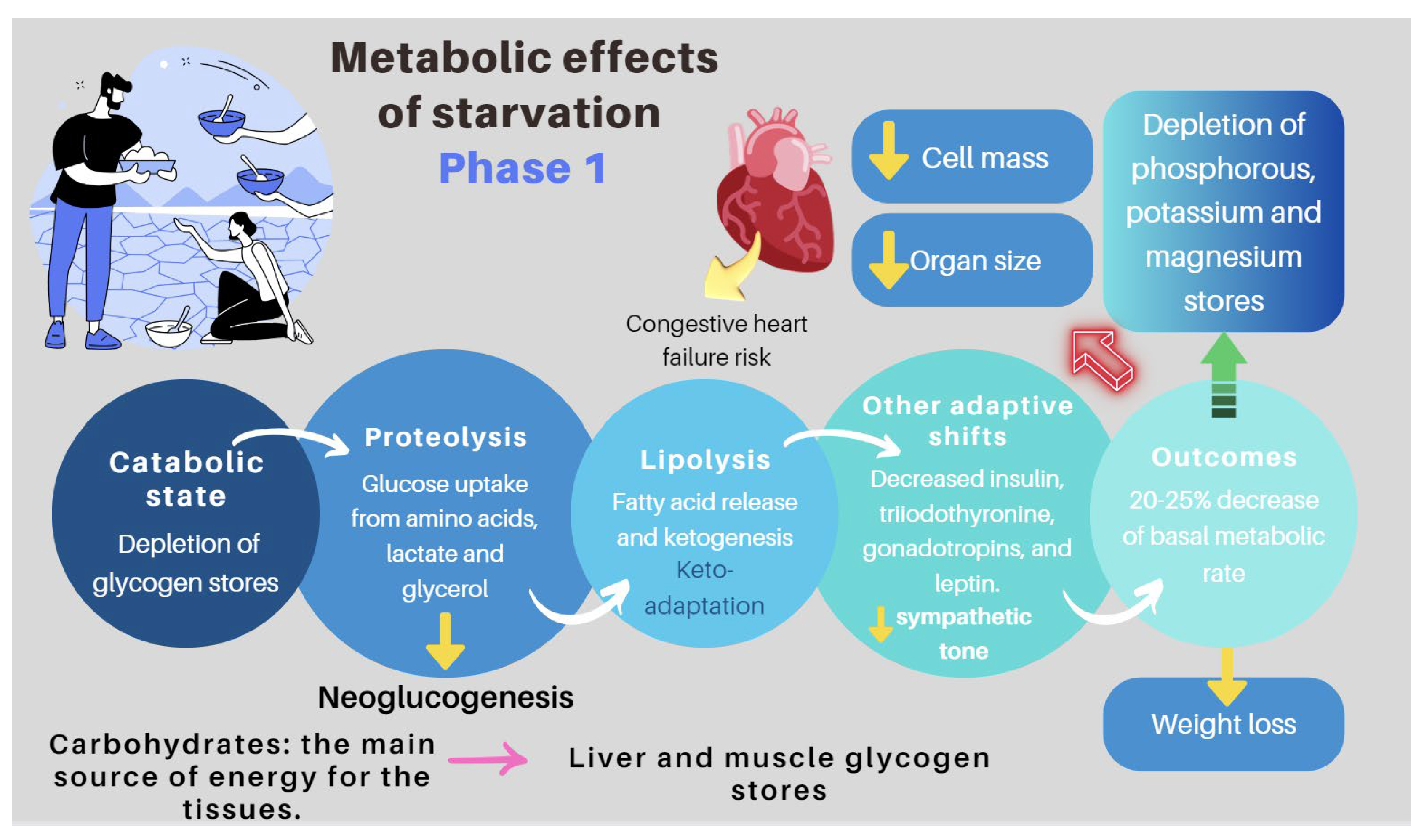 Nutrients 16 00246 g007