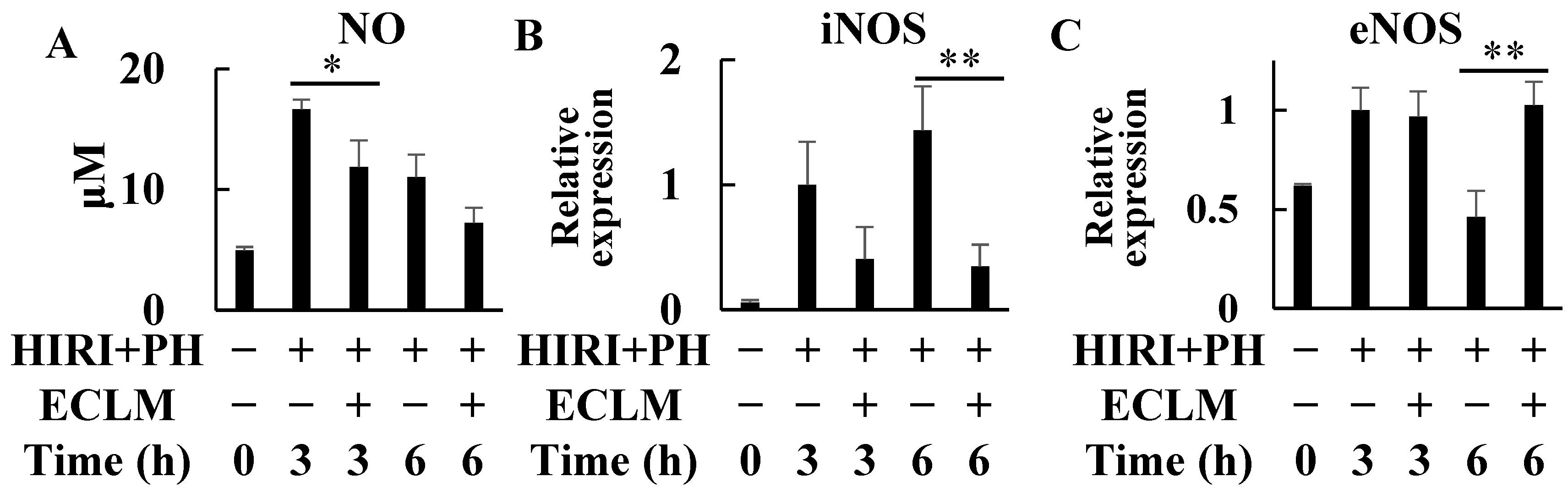 Nutrients 16 00256 g004