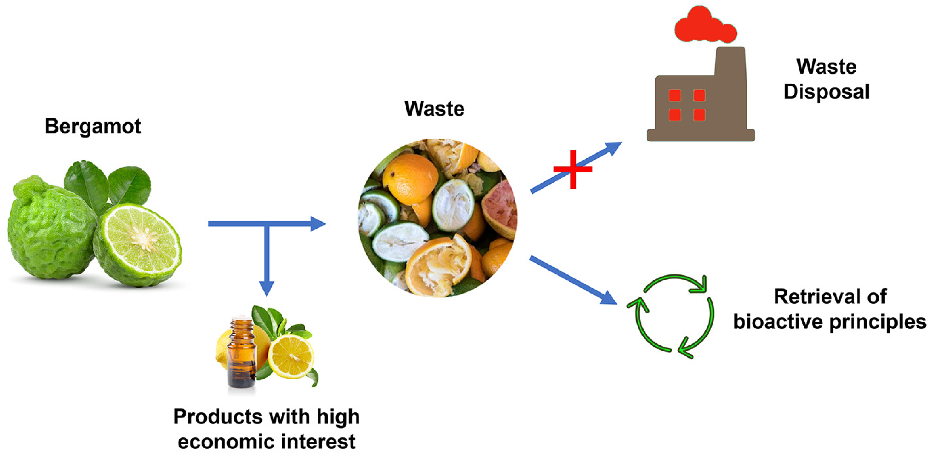 Nutrients 16 00259 g001 Nutrients 16 00259 g001