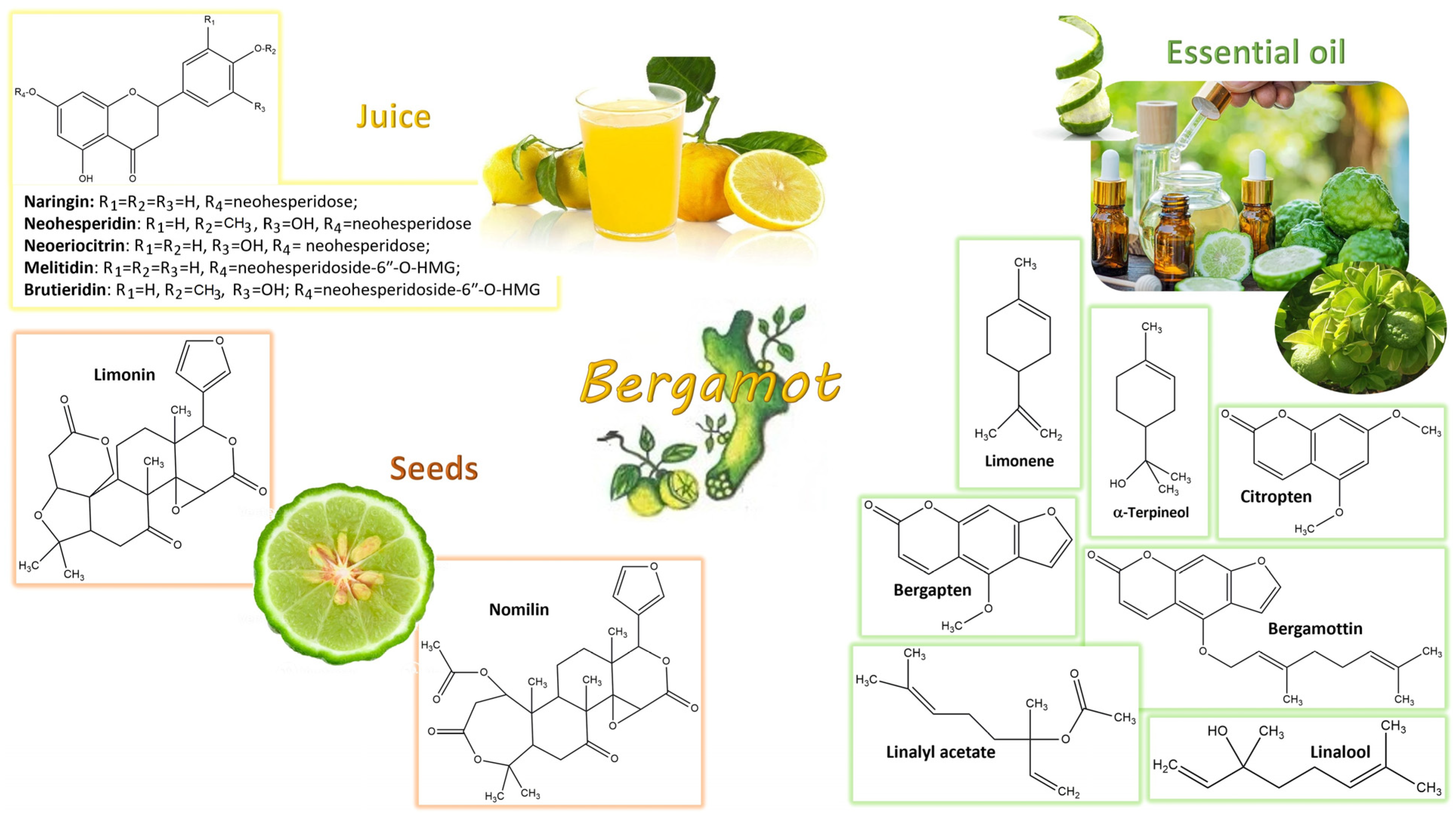 Nutrients 16 00259 g002 Nutrients 16 00259 g002