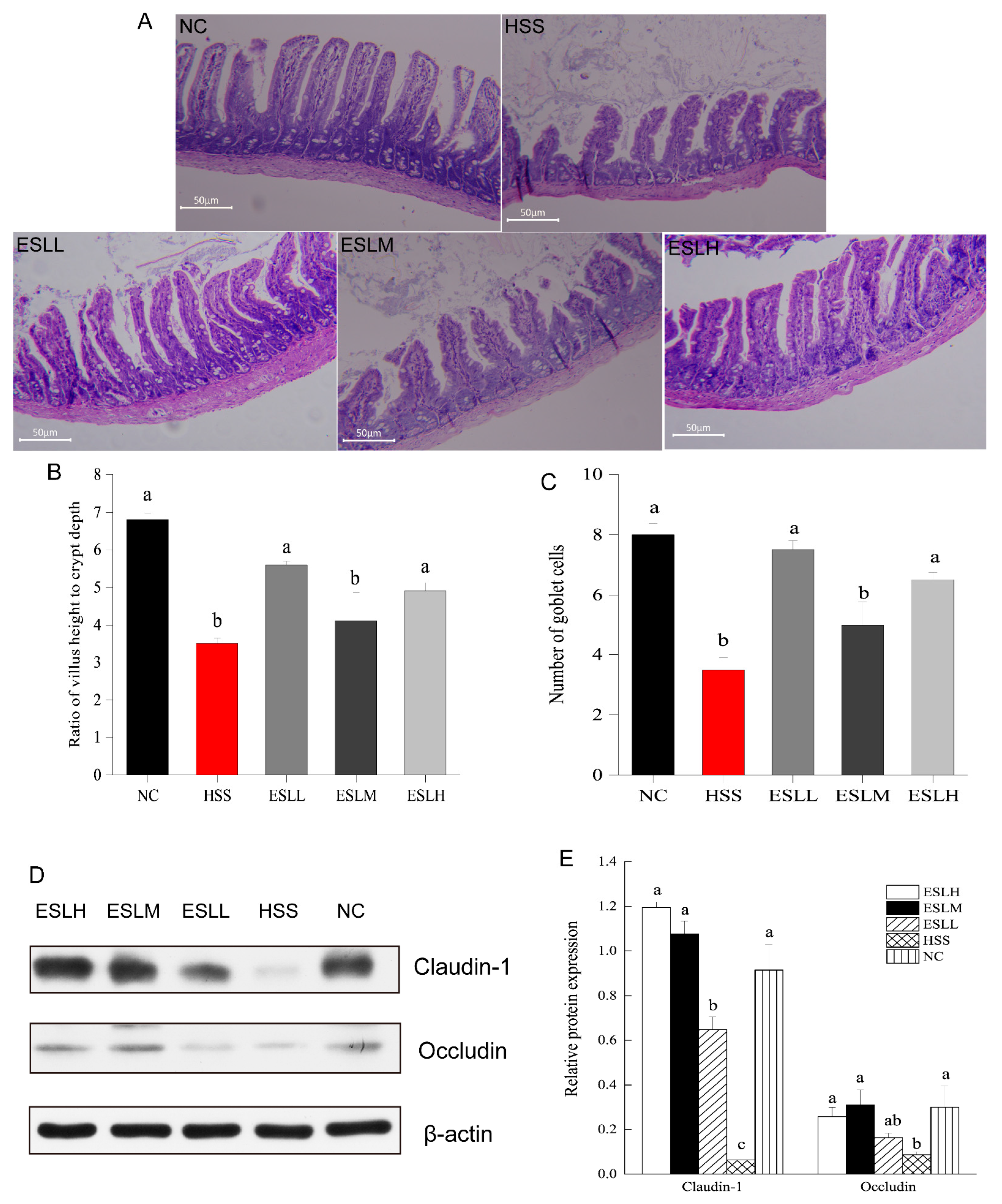 Nutrients 16 00262 g003
