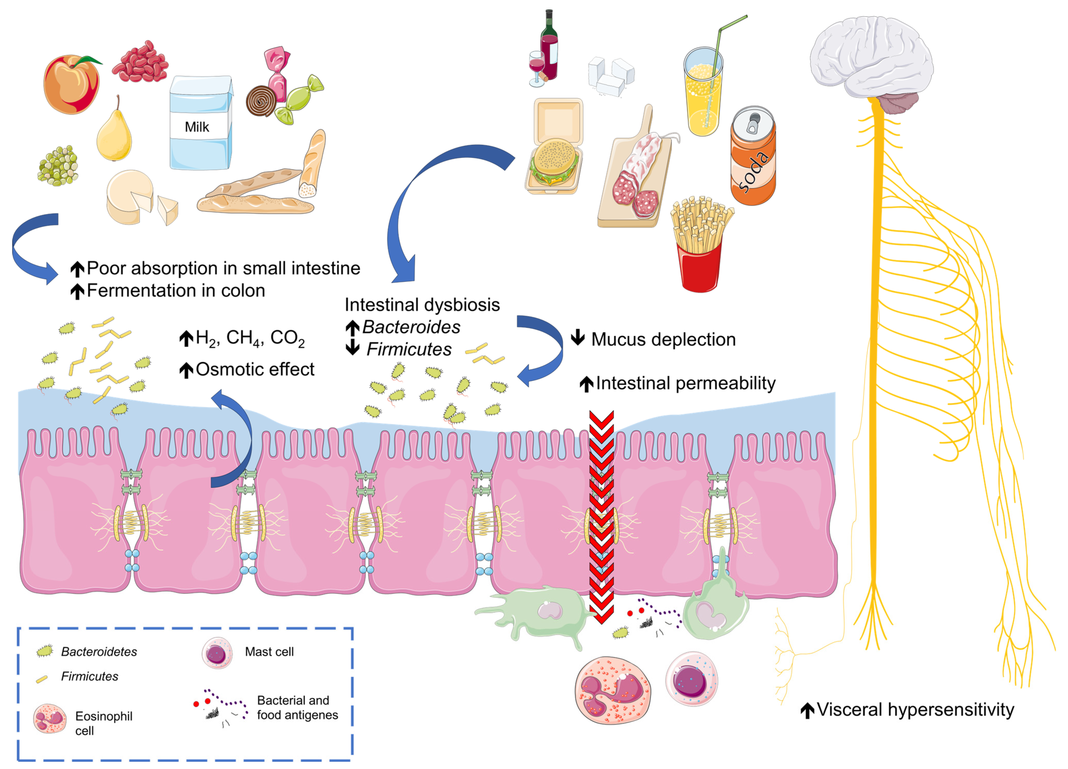 Nutrients 16 00265 g001 Nutrients 16 00265 g001