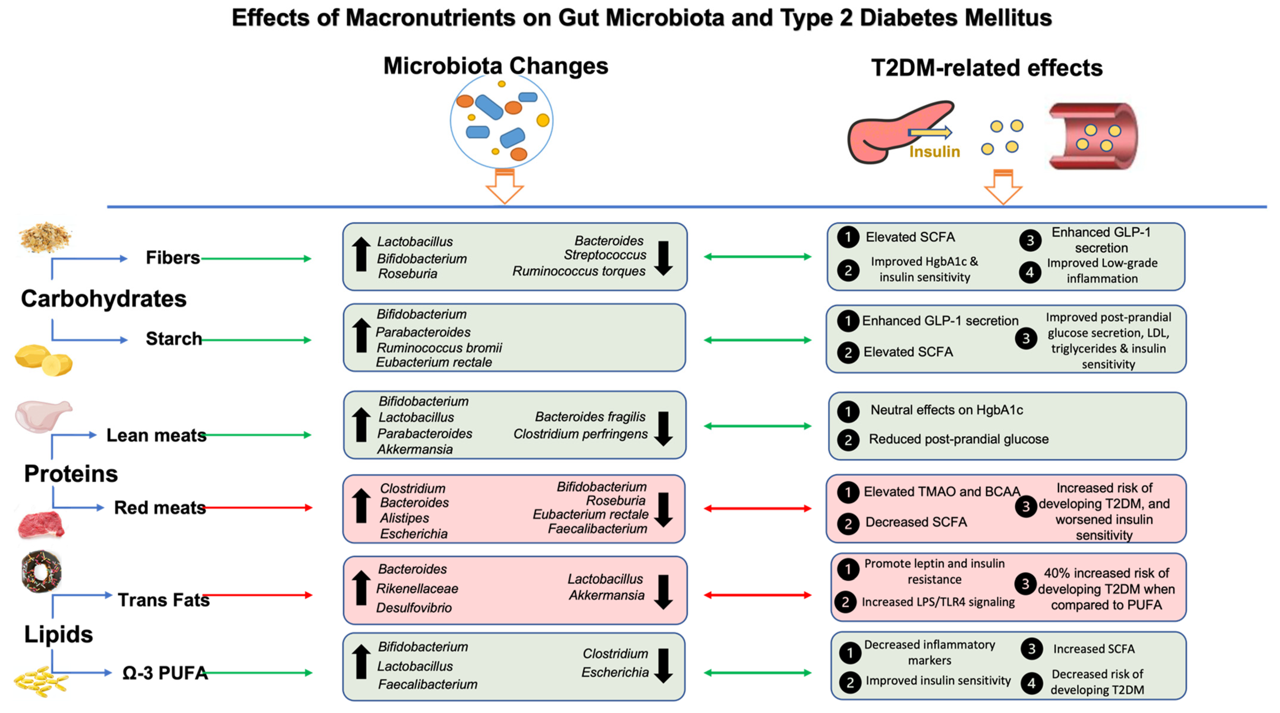 Nutrients 16 00269 g002