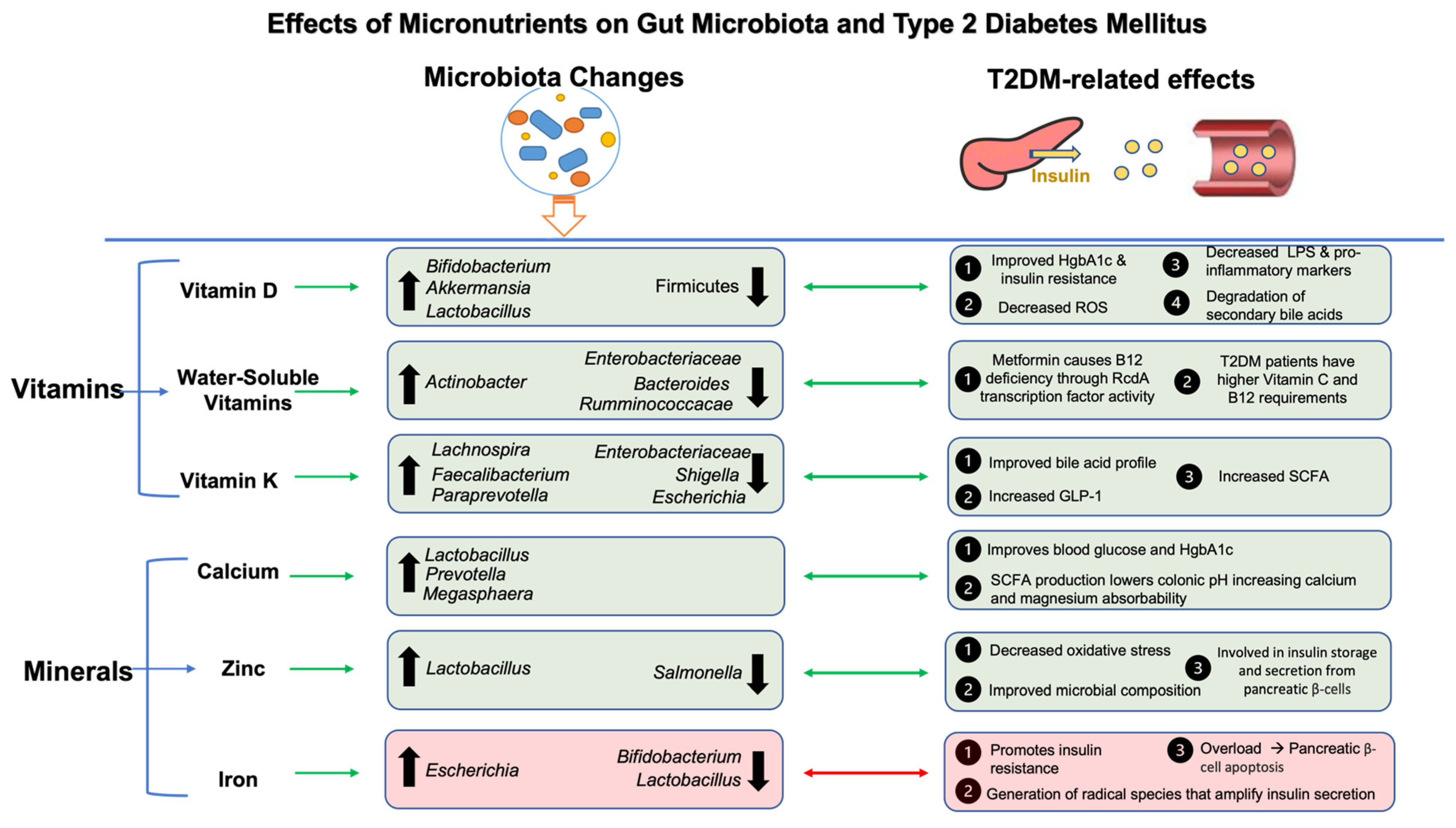 Nutrients 16 00269 g003