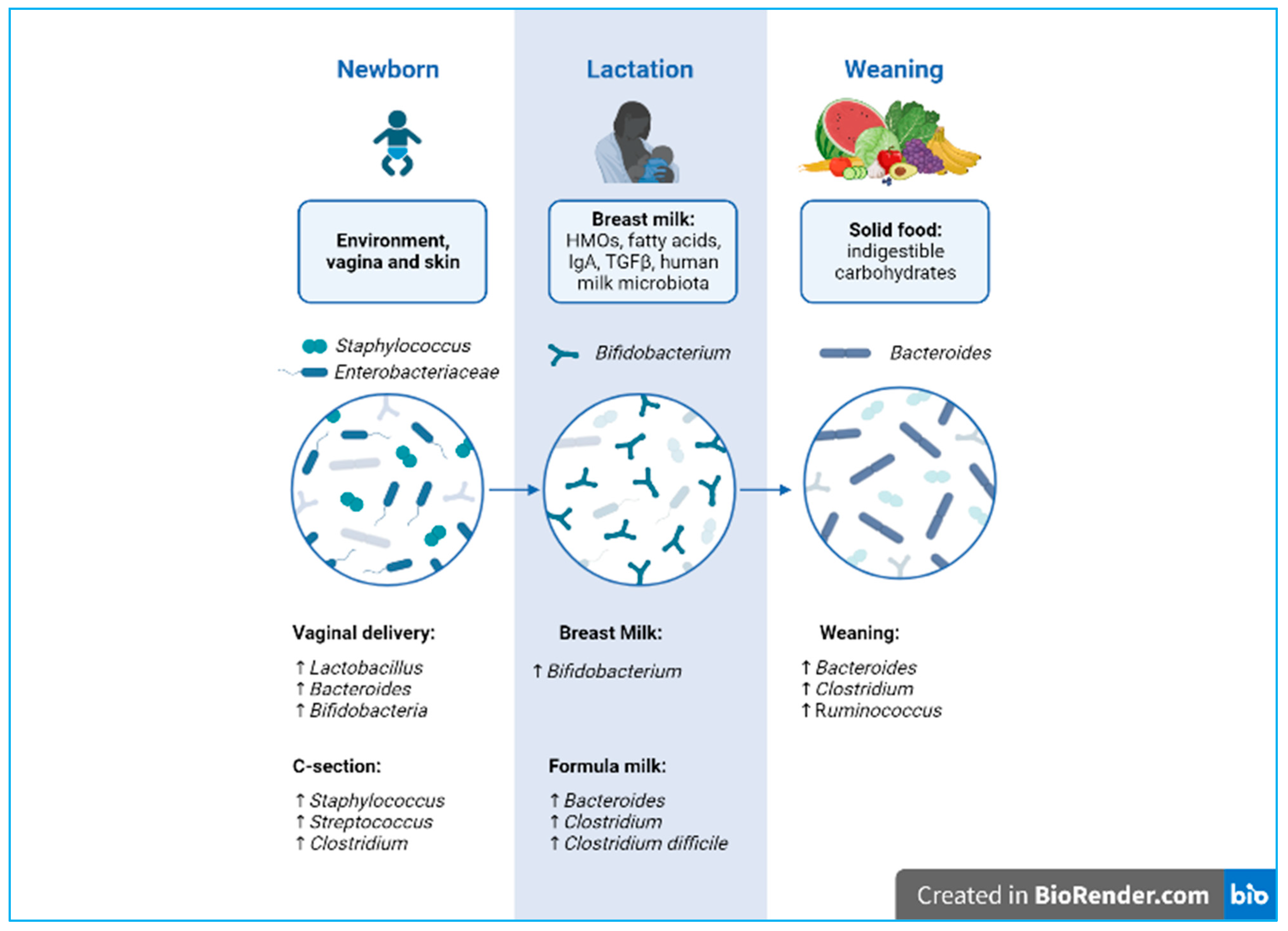 Nutrients 16 00272 g001 Nutrients 16 00272 g001