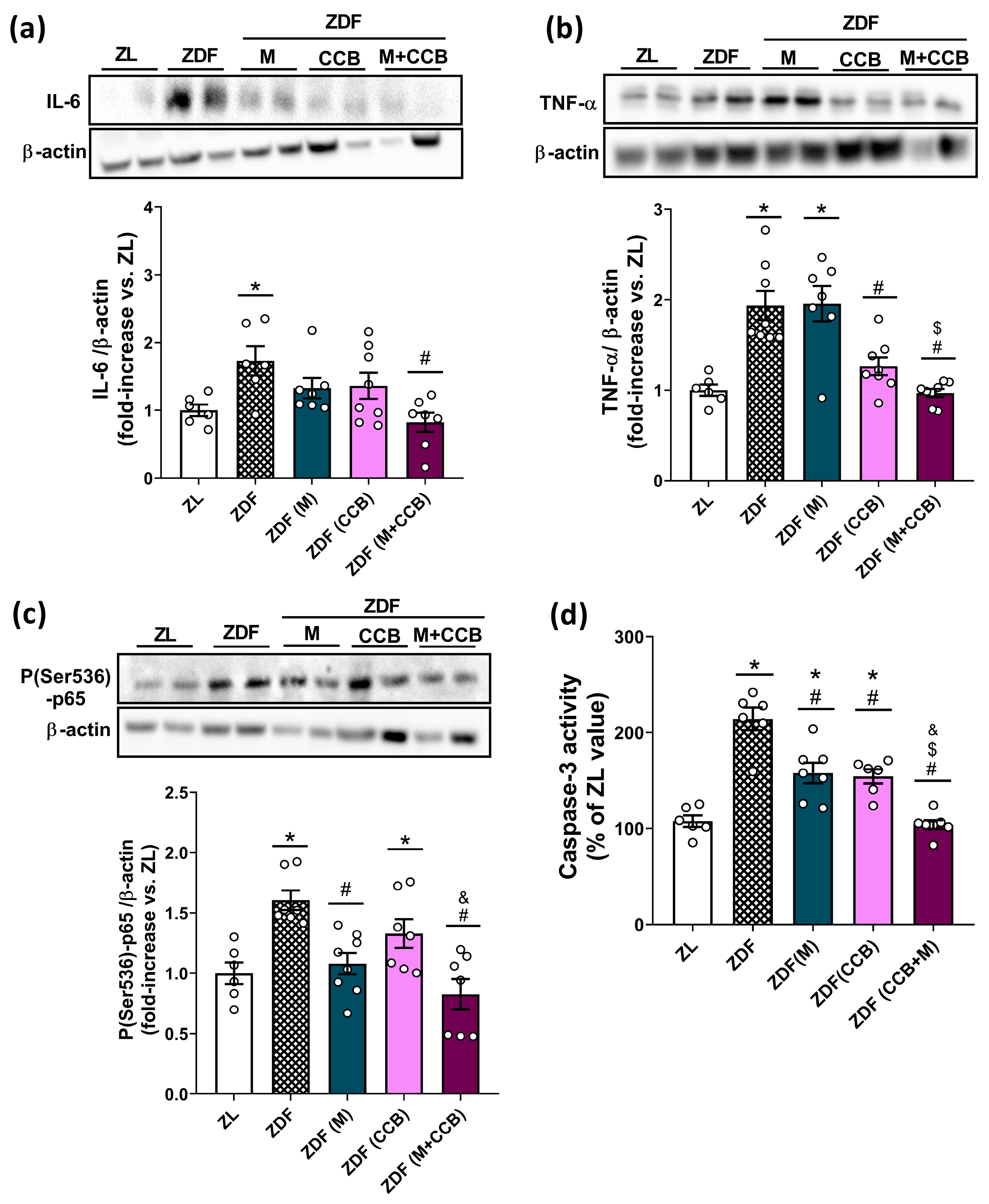 Nutrients 16 00273 g002