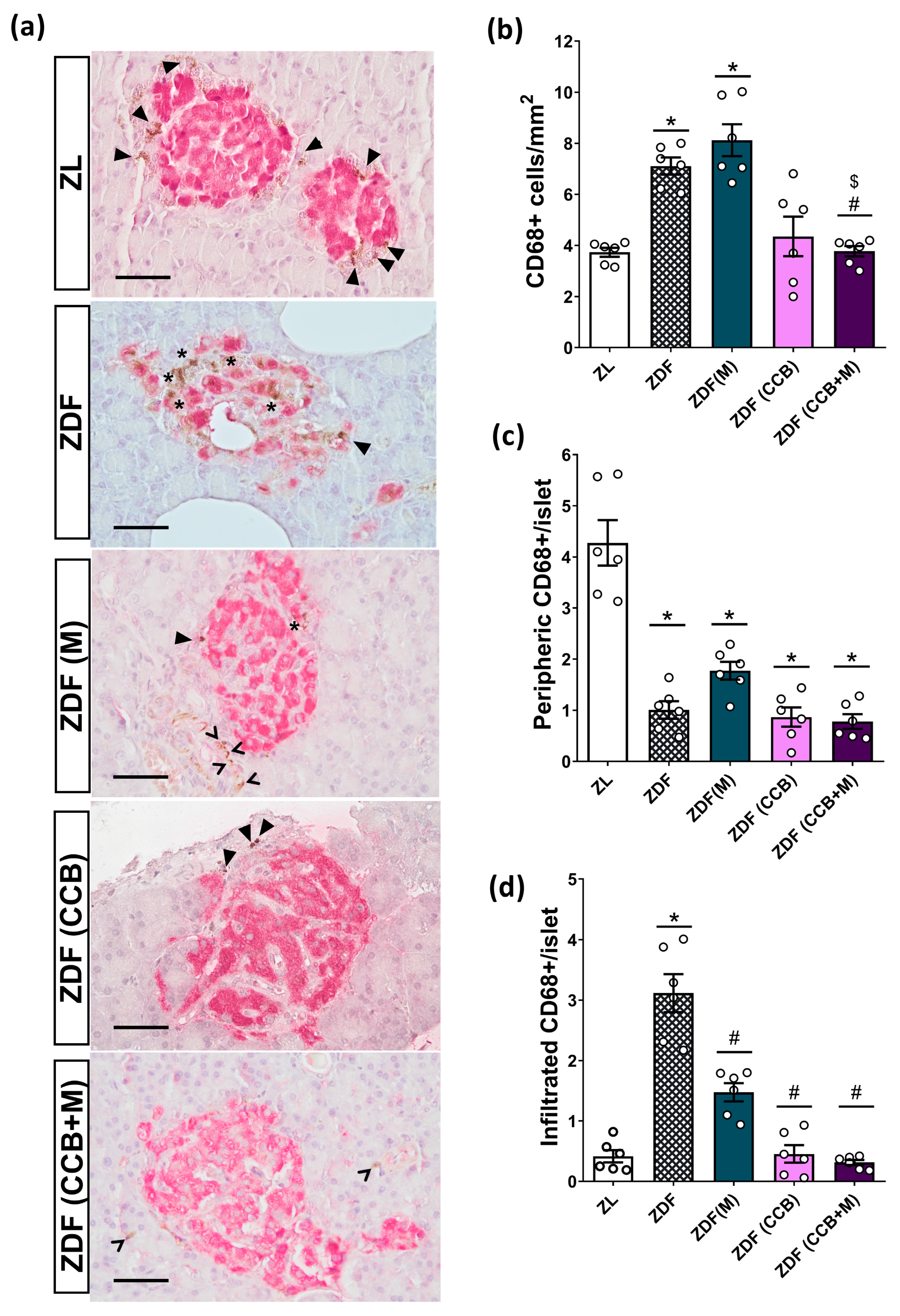 Nutrients 16 00273 g003