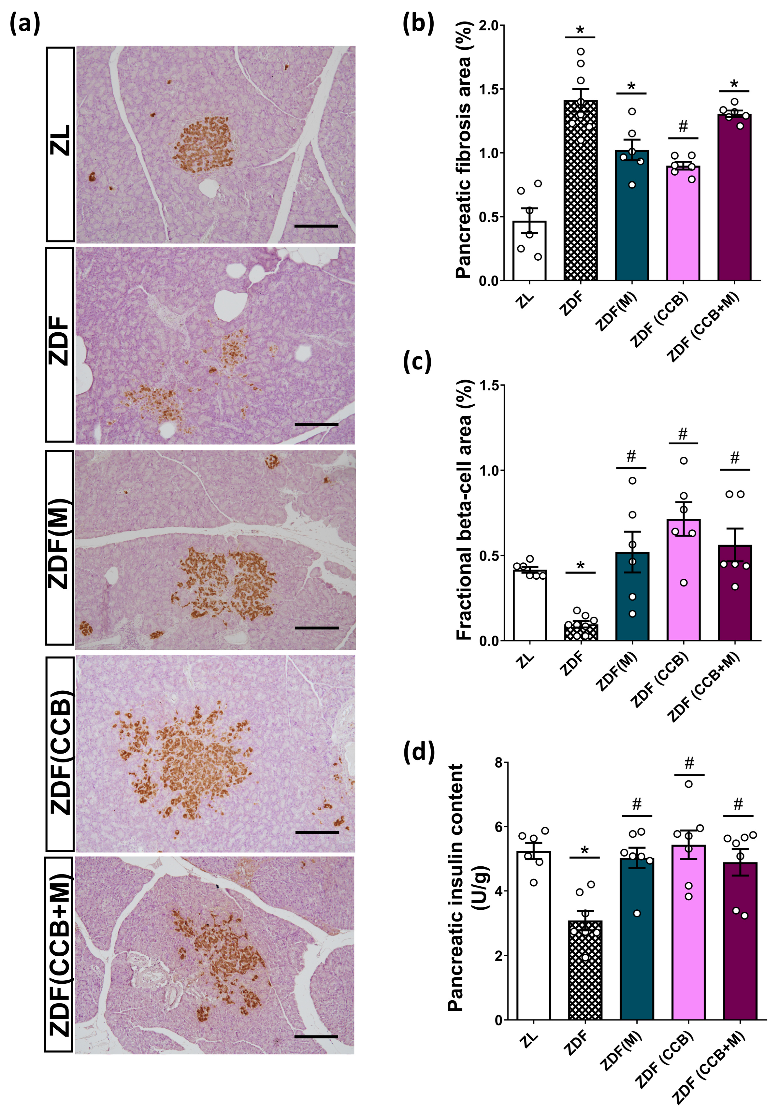 Nutrients 16 00273 g004