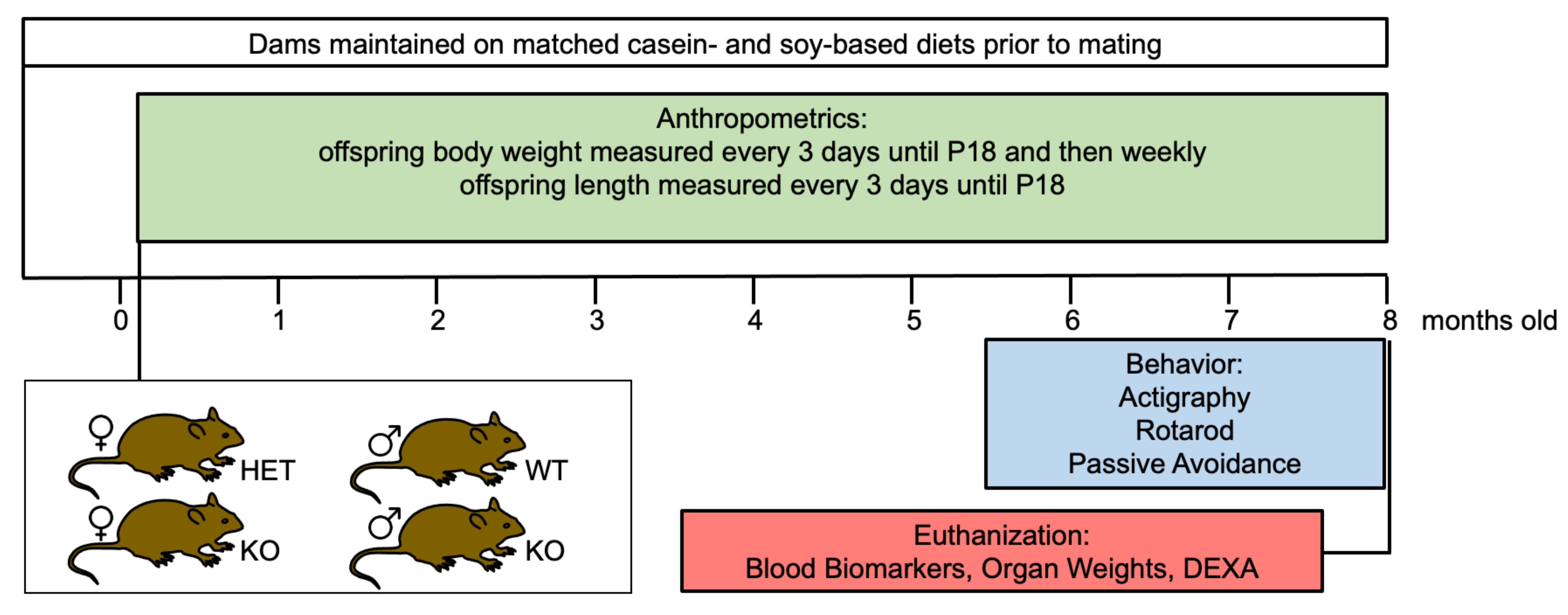 Nutrients 16 00284 g001 Nutrients 16 00284 g001