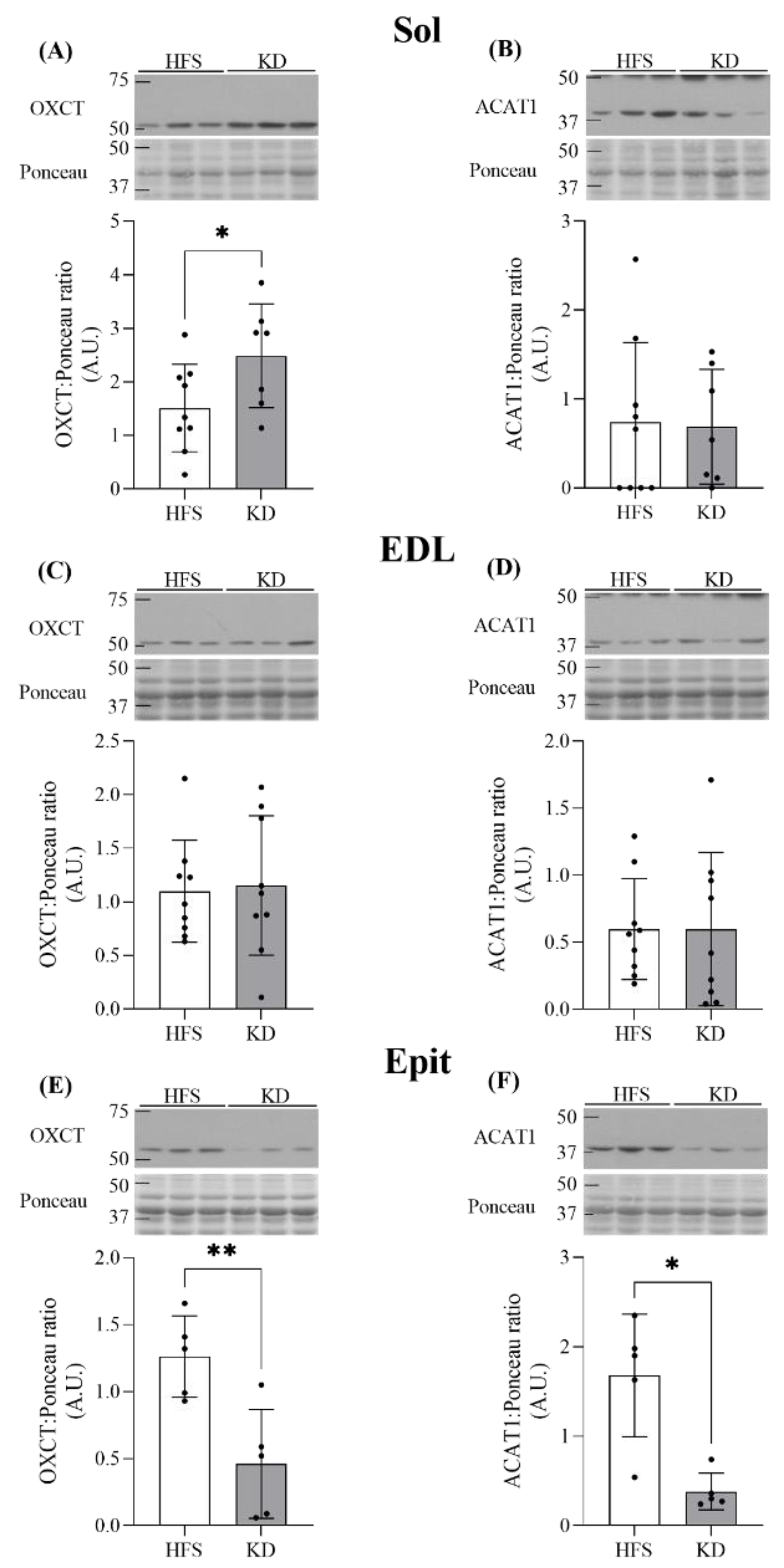 Nutrients 16 00286 g003