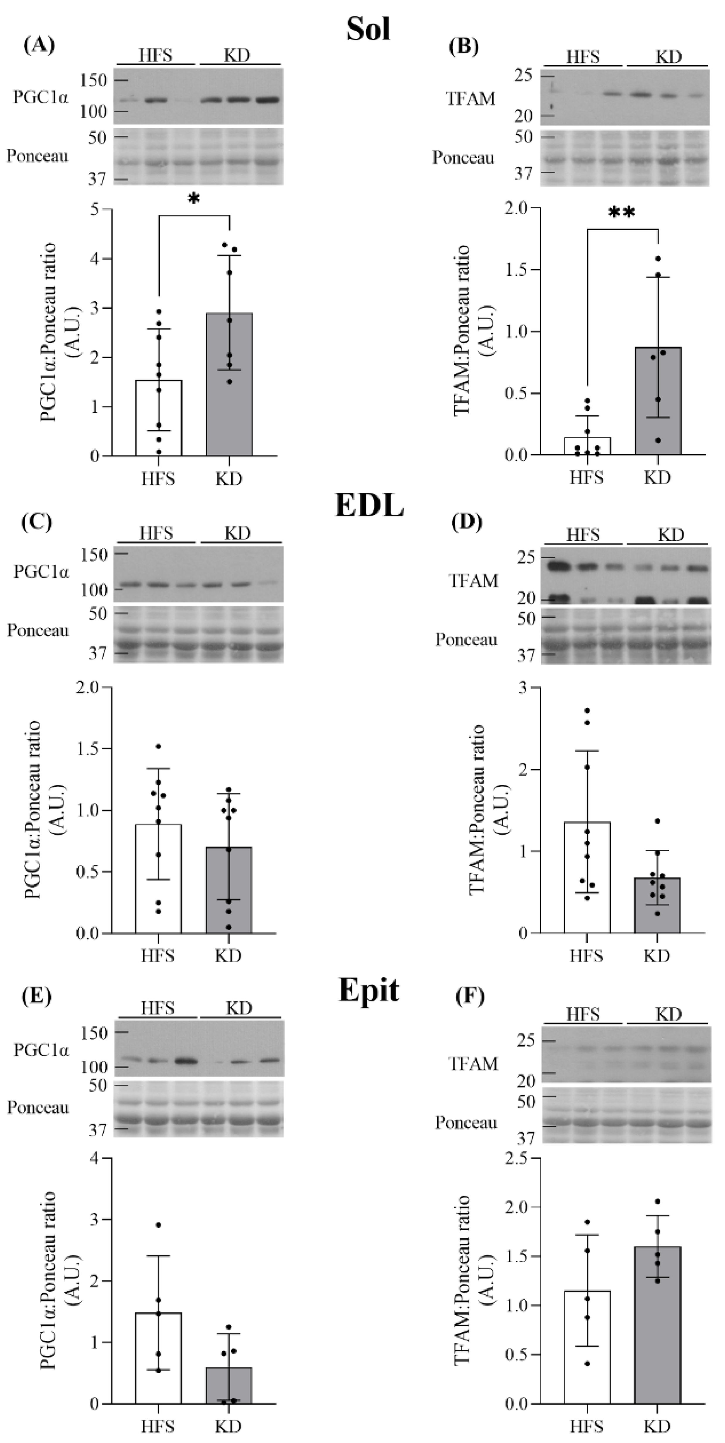 Nutrients 16 00286 g004