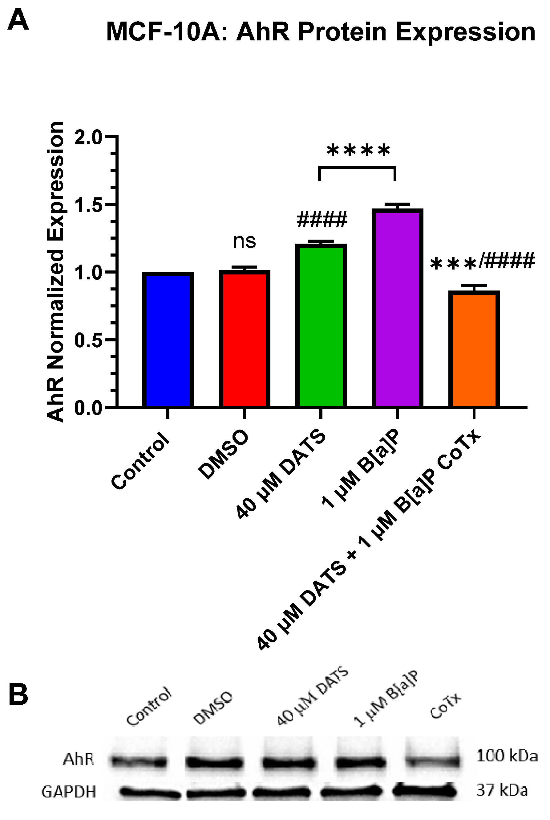 Nutrients 16 00300 g006 Nutrients 16 00300 g006
