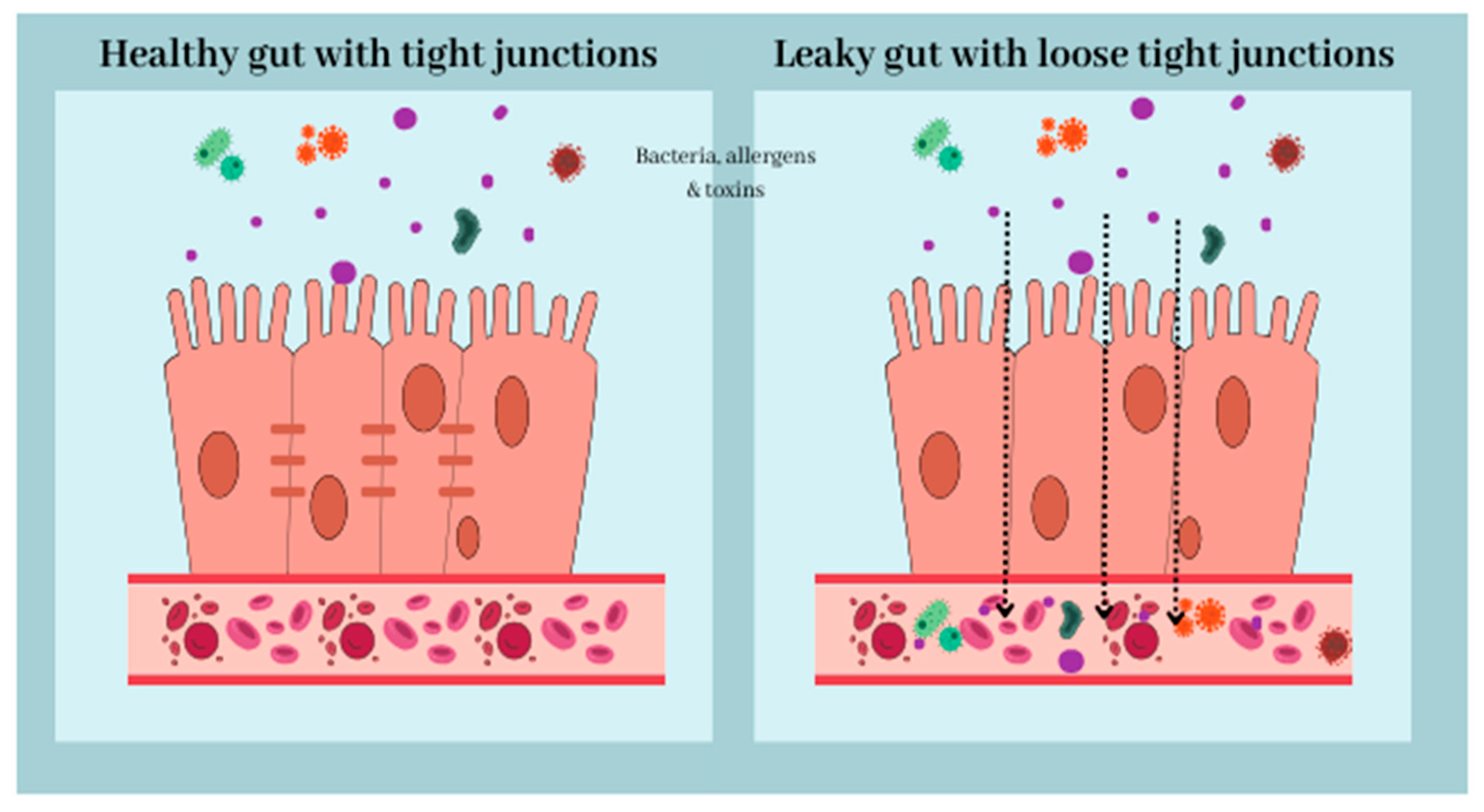 Nutrients 16 00308 g001