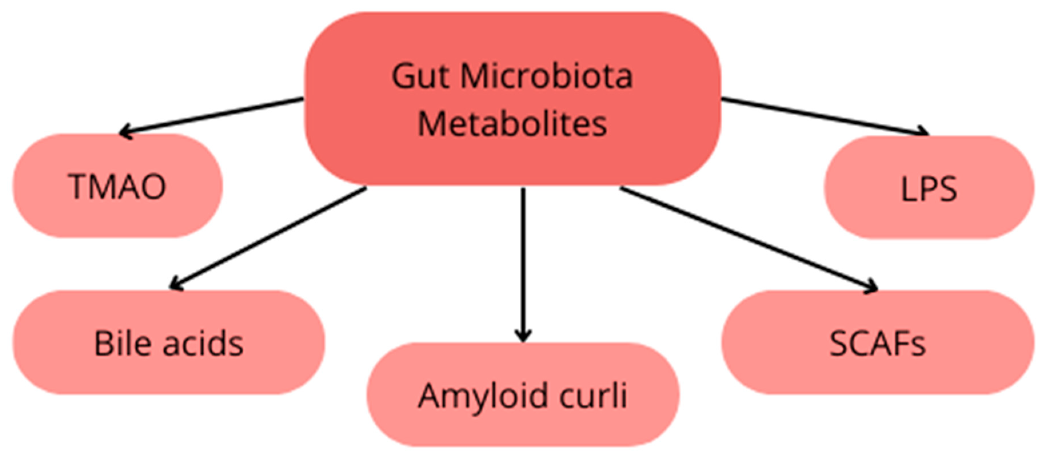Nutrients 16 00308 g002