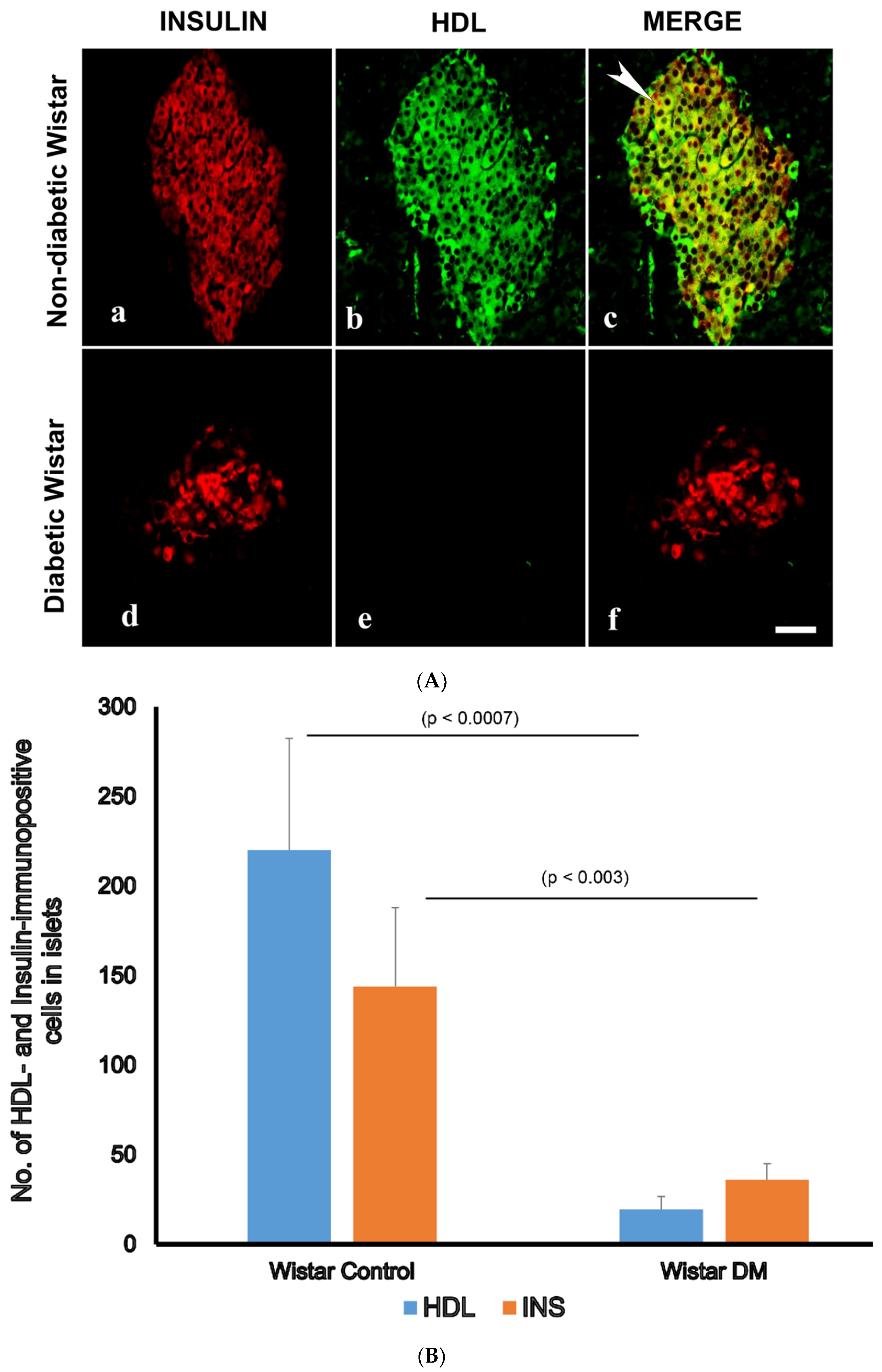 Nutrients 16 00313 g002