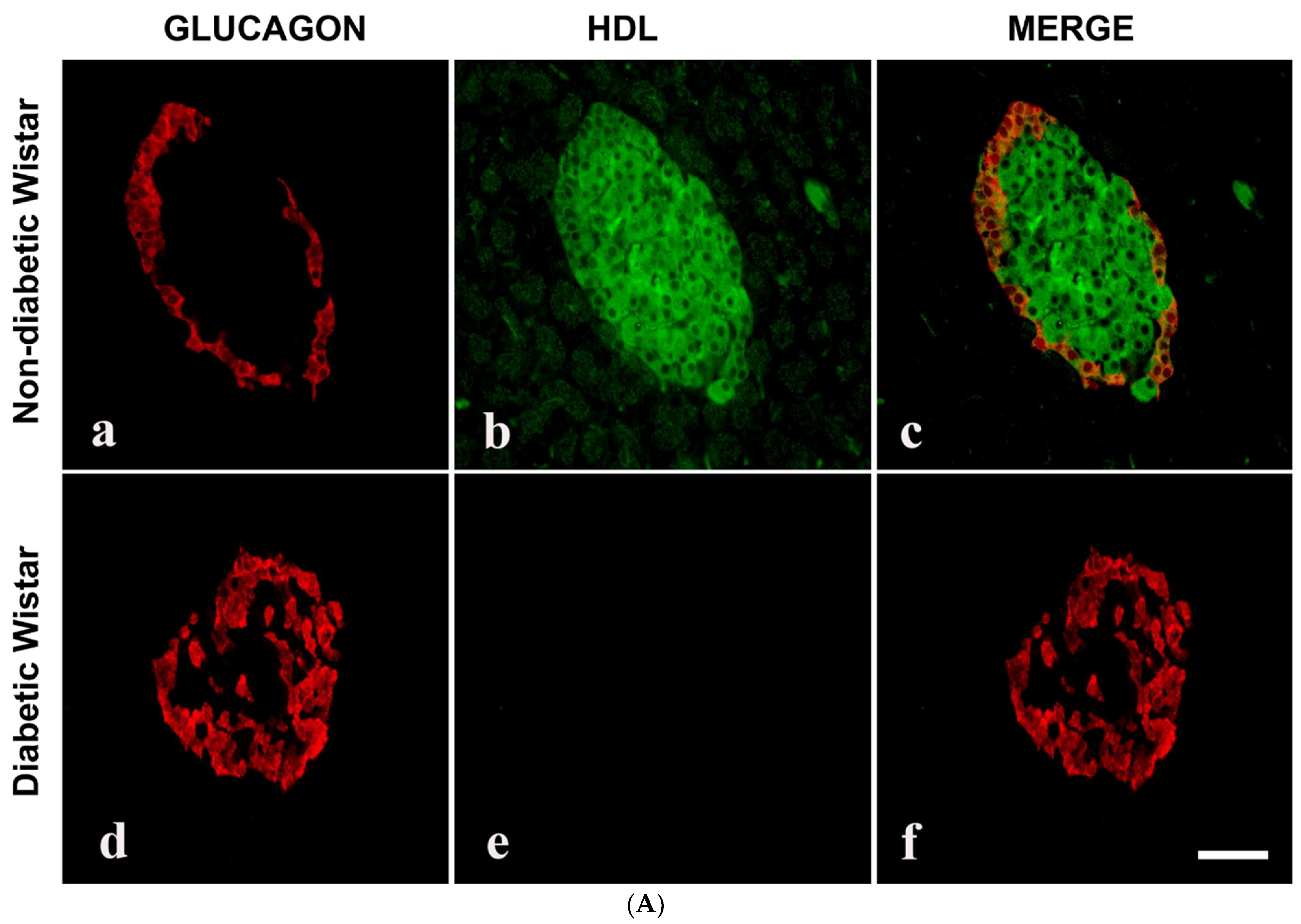 Nutrients 16 00313 g003a
