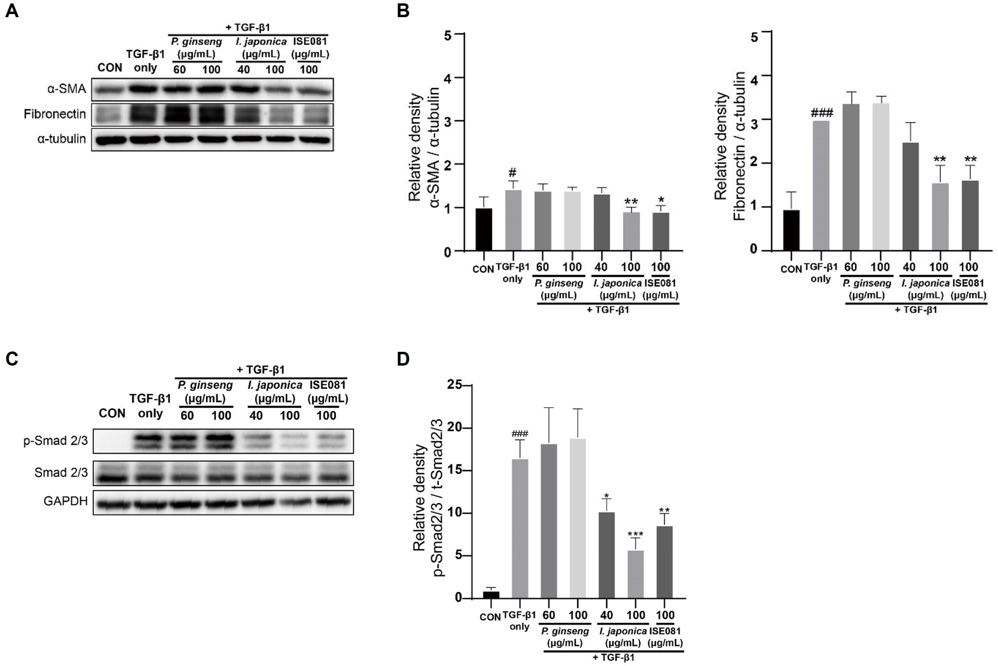 Nutrients 16 00319 g005