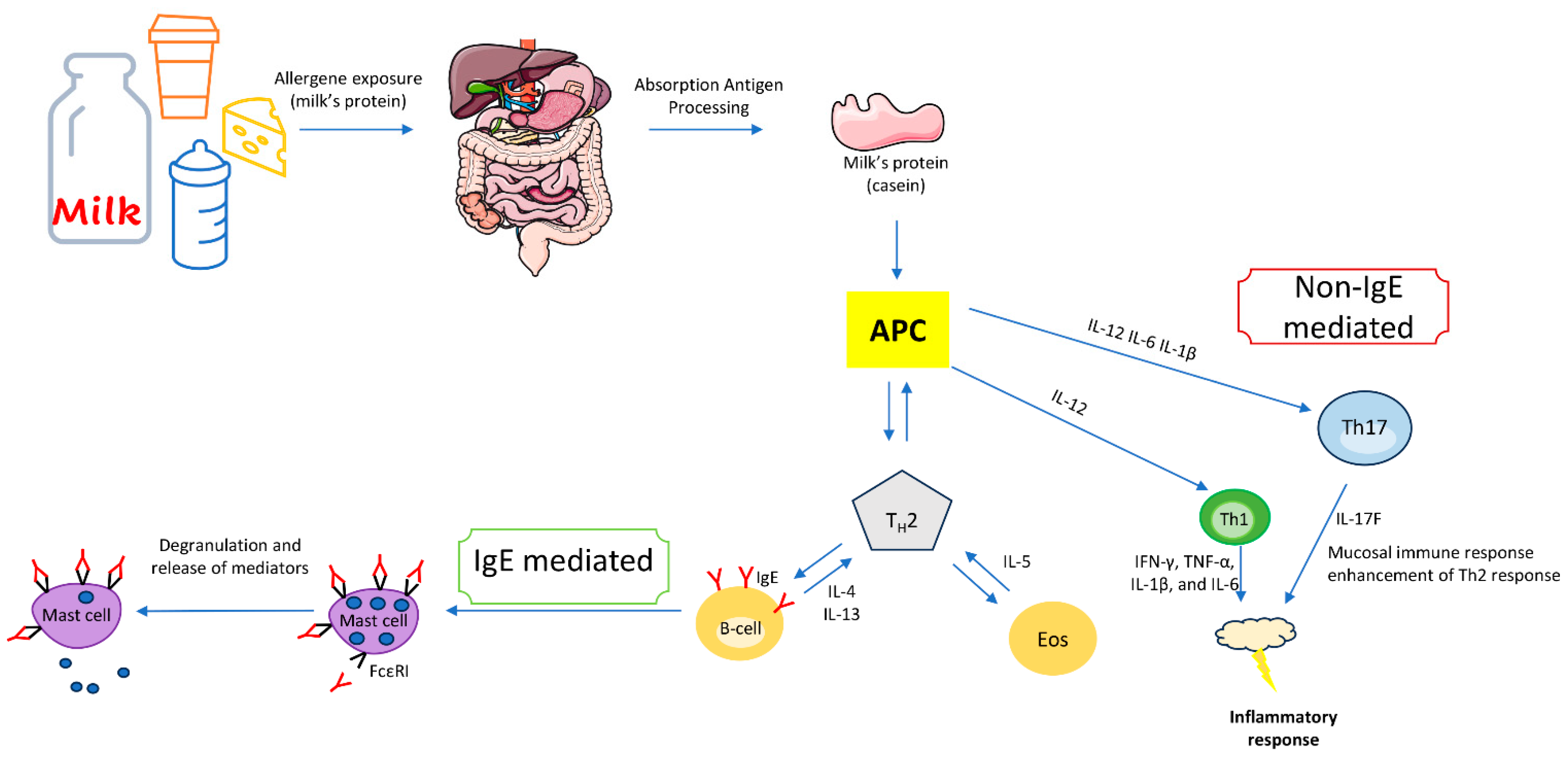 Nutrients 16 00320 g003