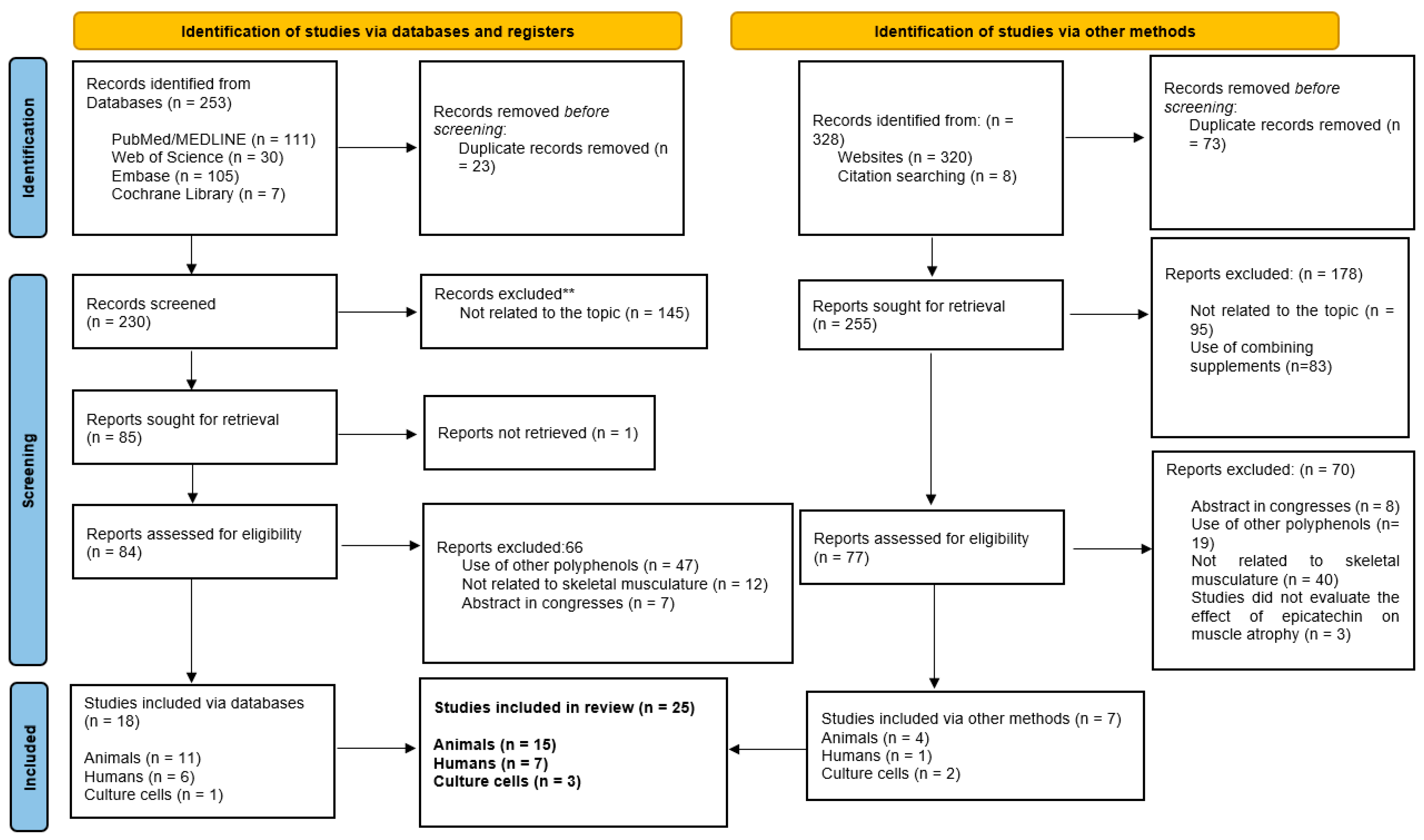 Nutrients 16 00326 g002