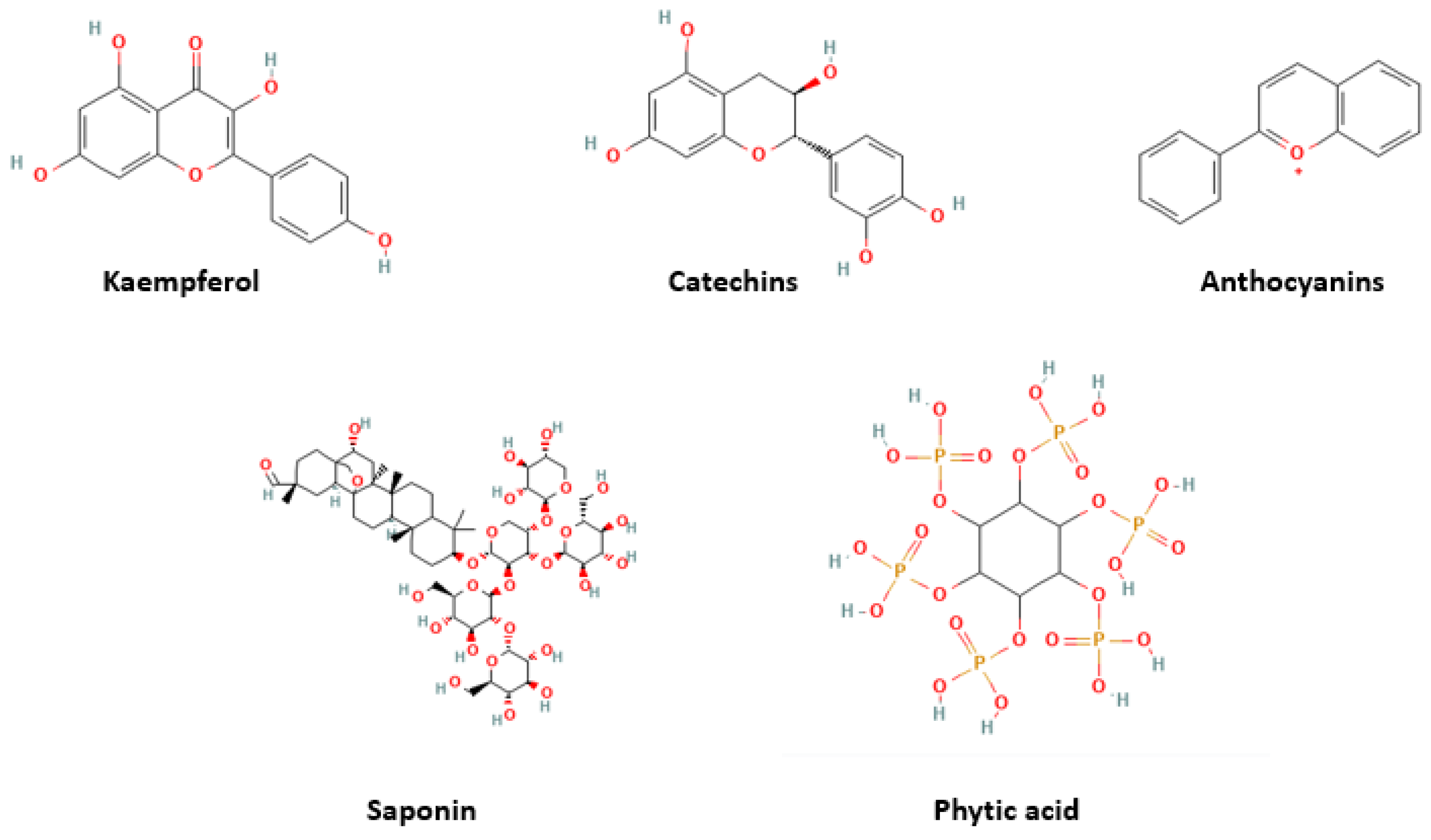 Nutrients 16 00329 g001