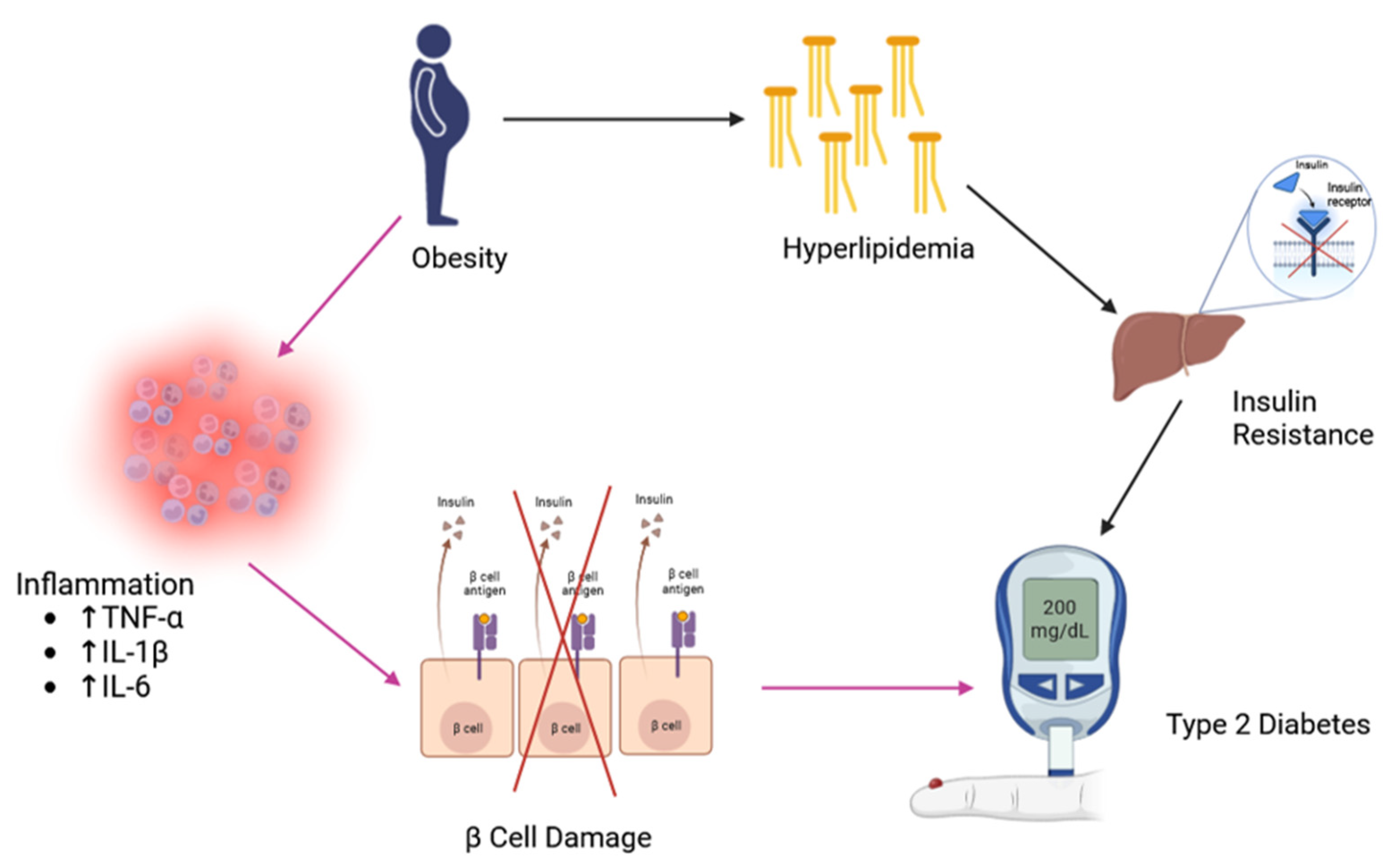 Nutrients 16 00329 g002
