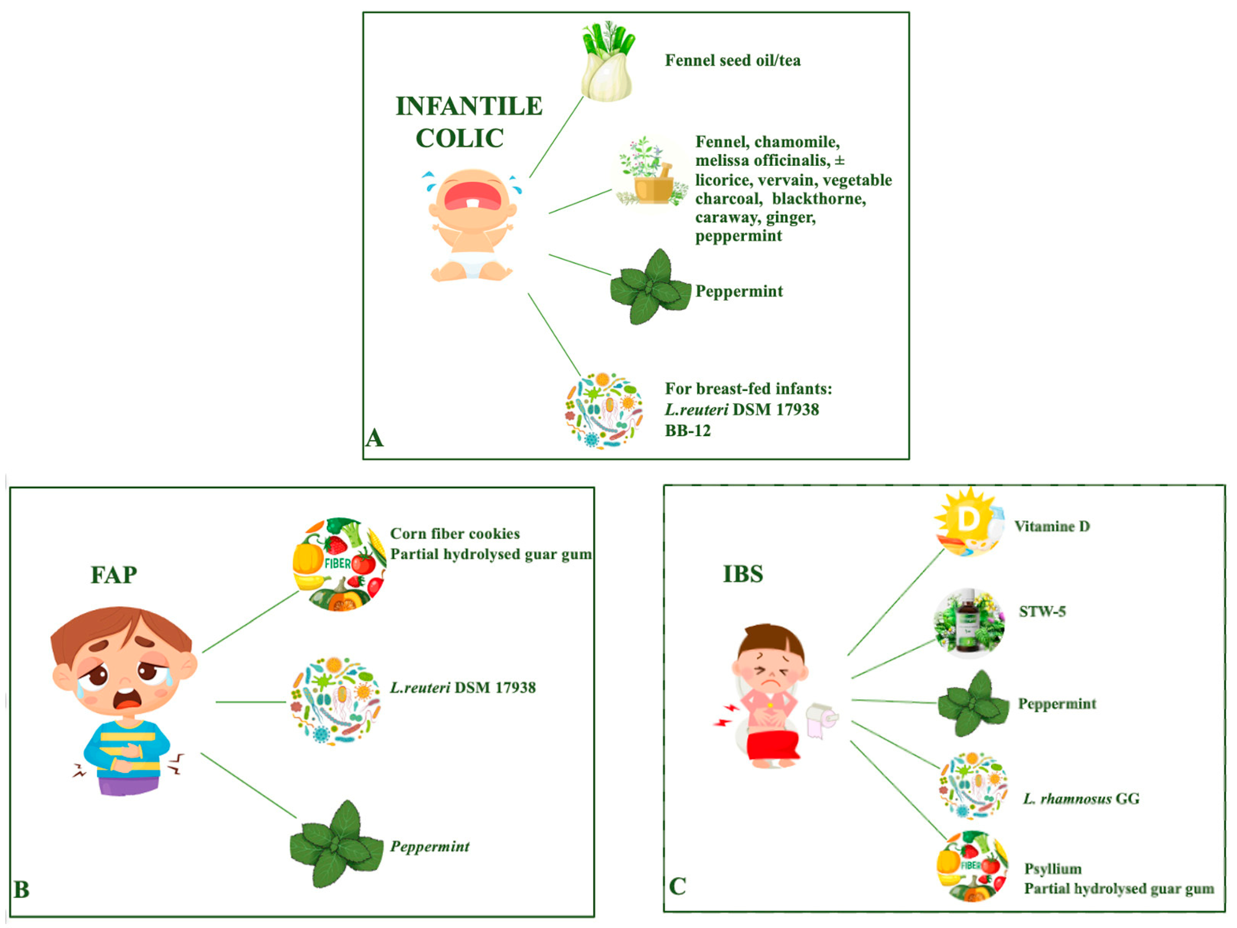 Nutrients 16 00349 g001