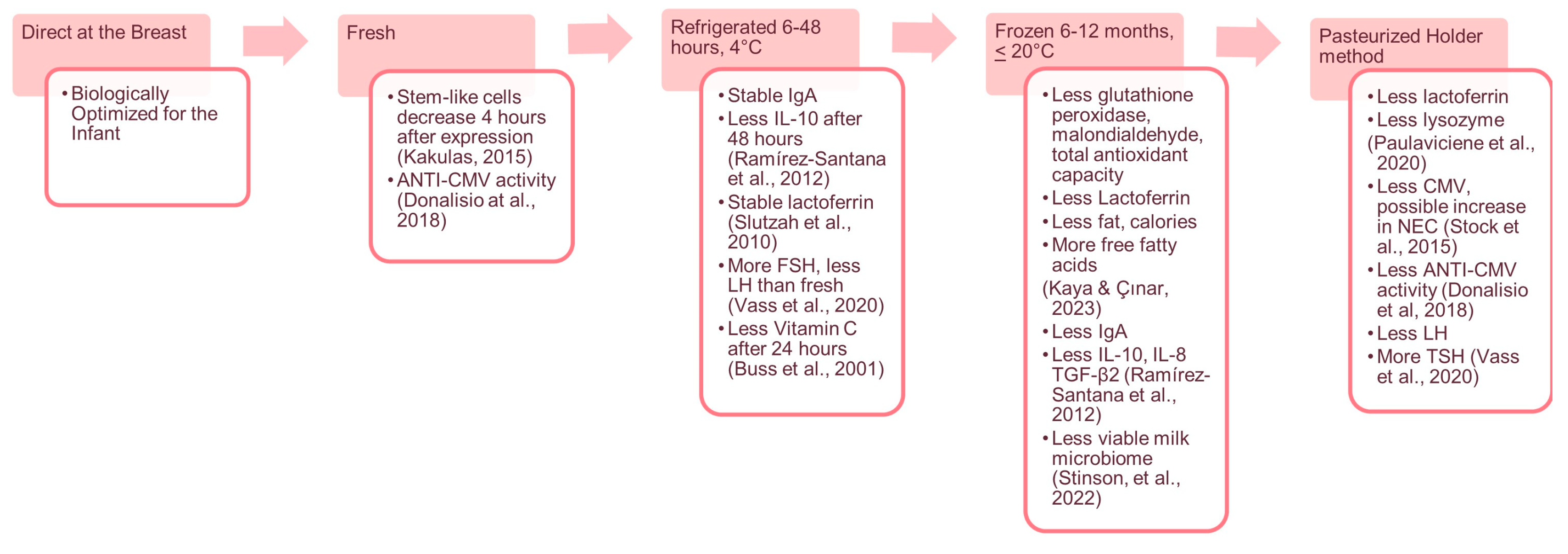 Nutrients 16 00362 g001