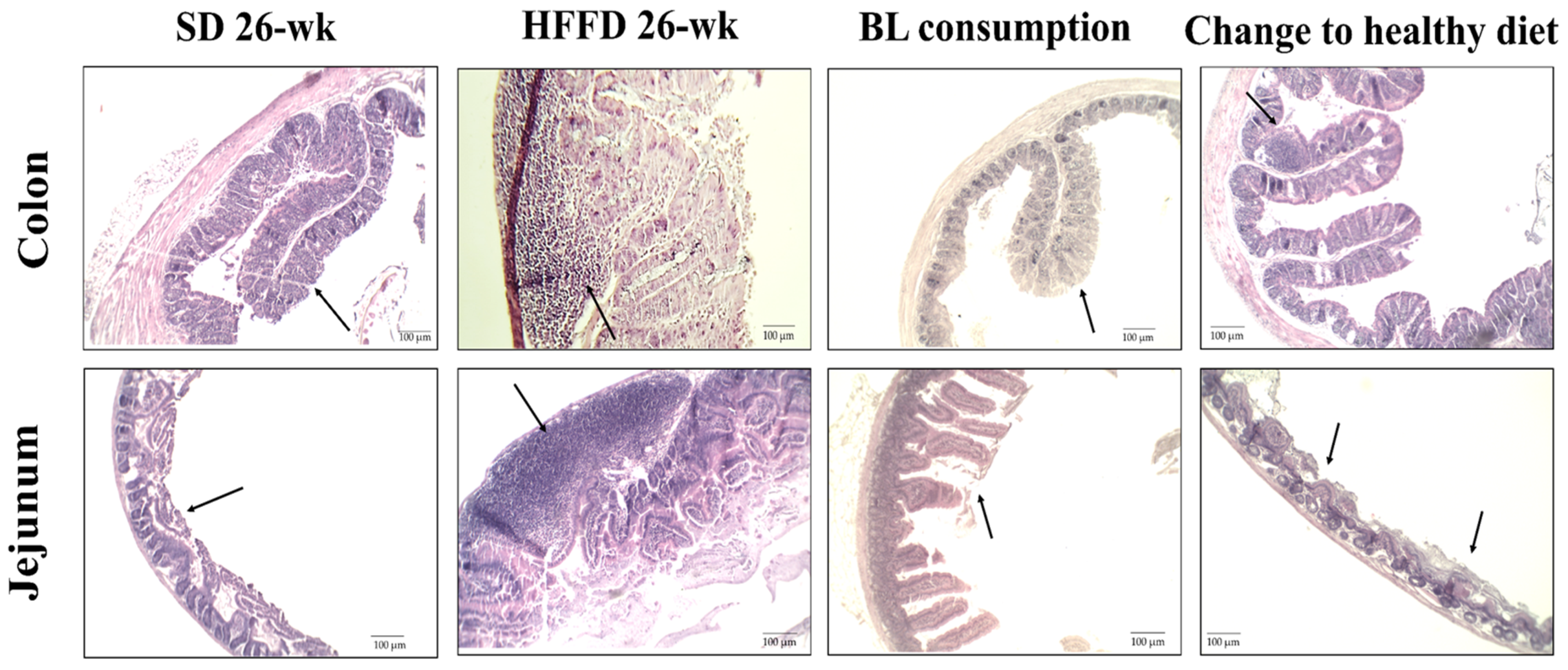 Nutrients 16 00367 g003
