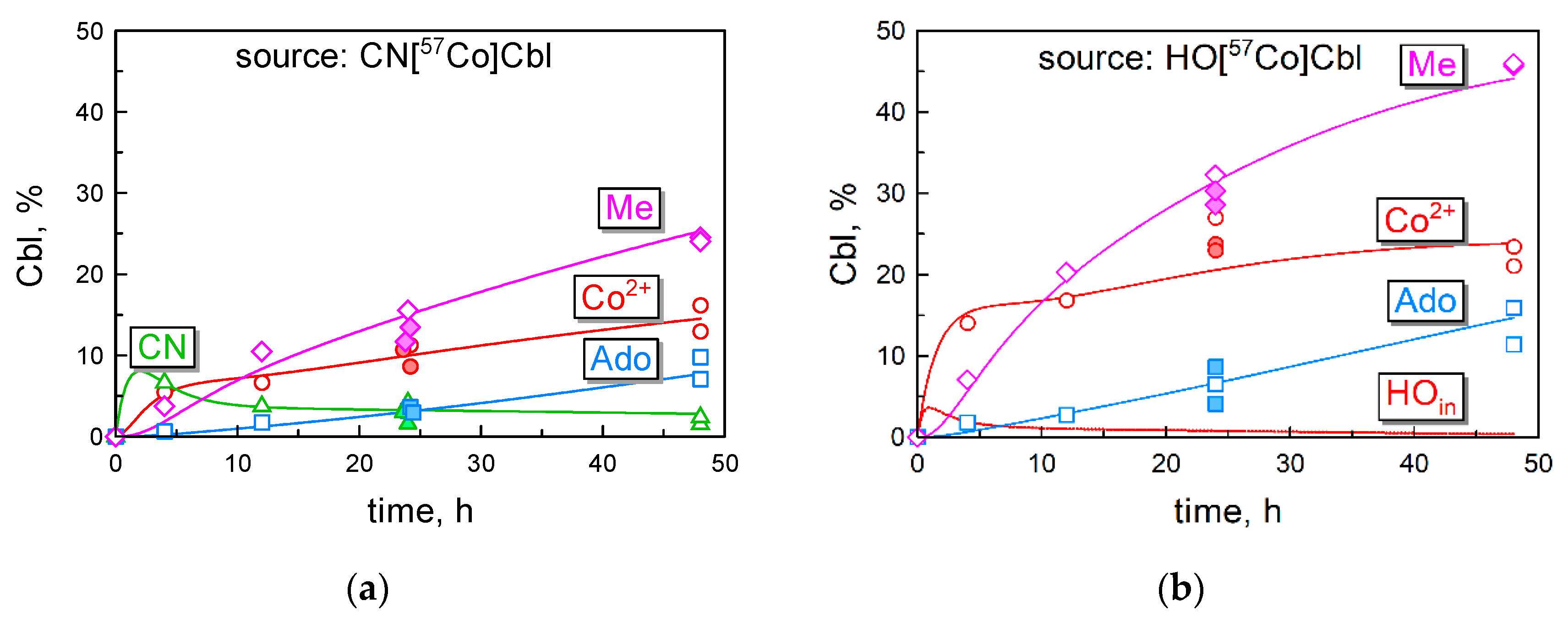 Nutrients 16 00378 g004