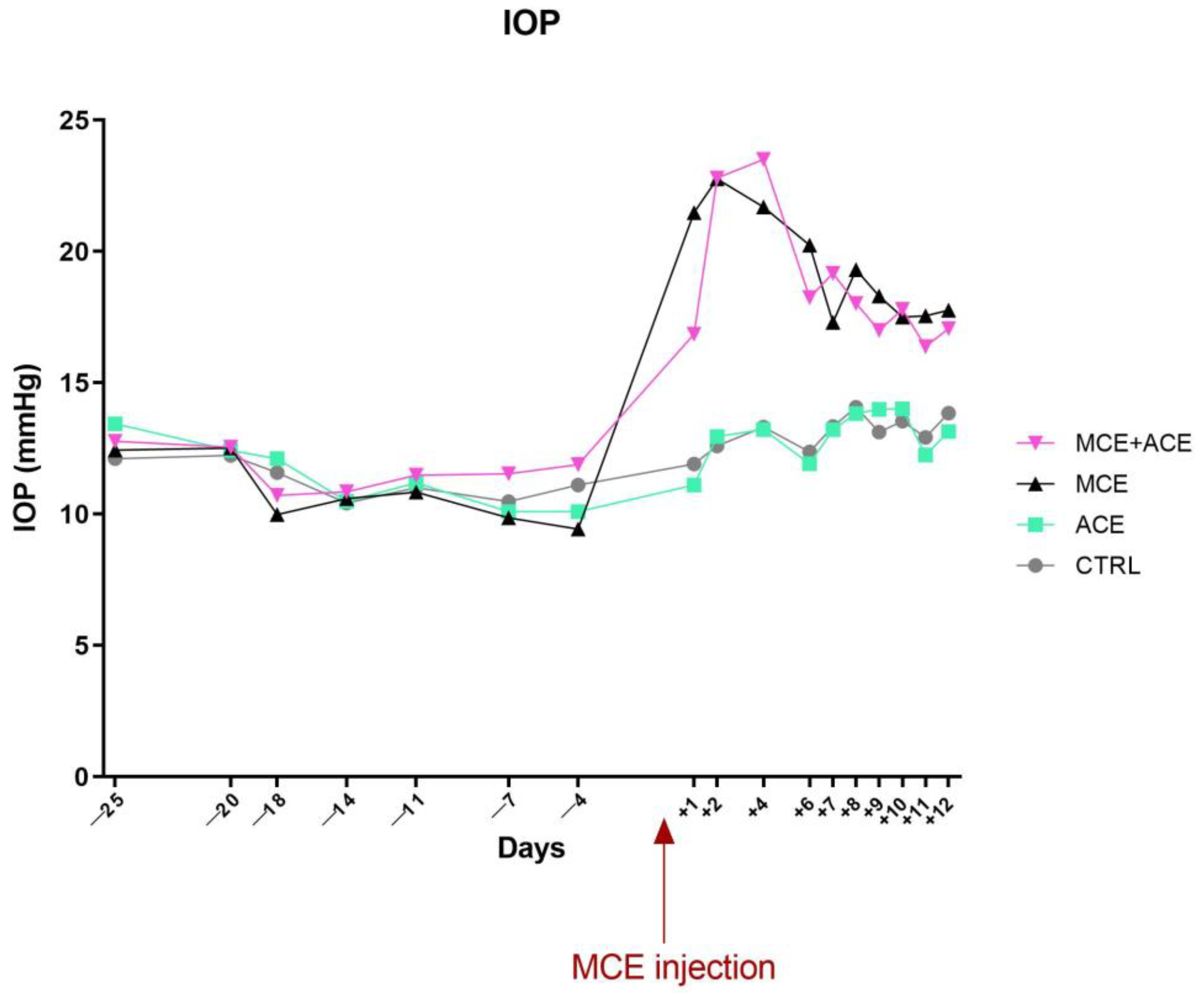 Nutrients 16 00409 g002