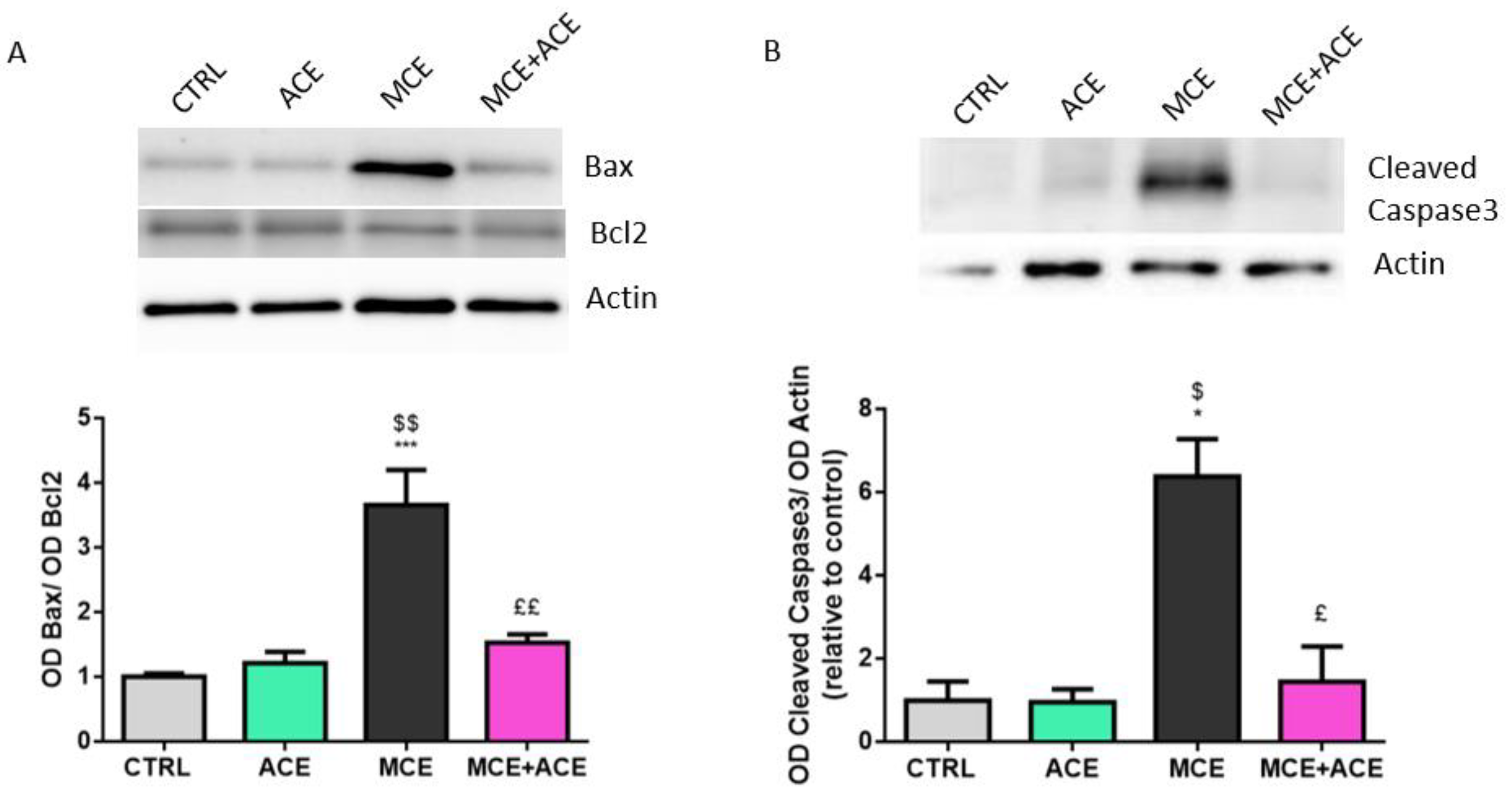 Nutrients 16 00409 g007
