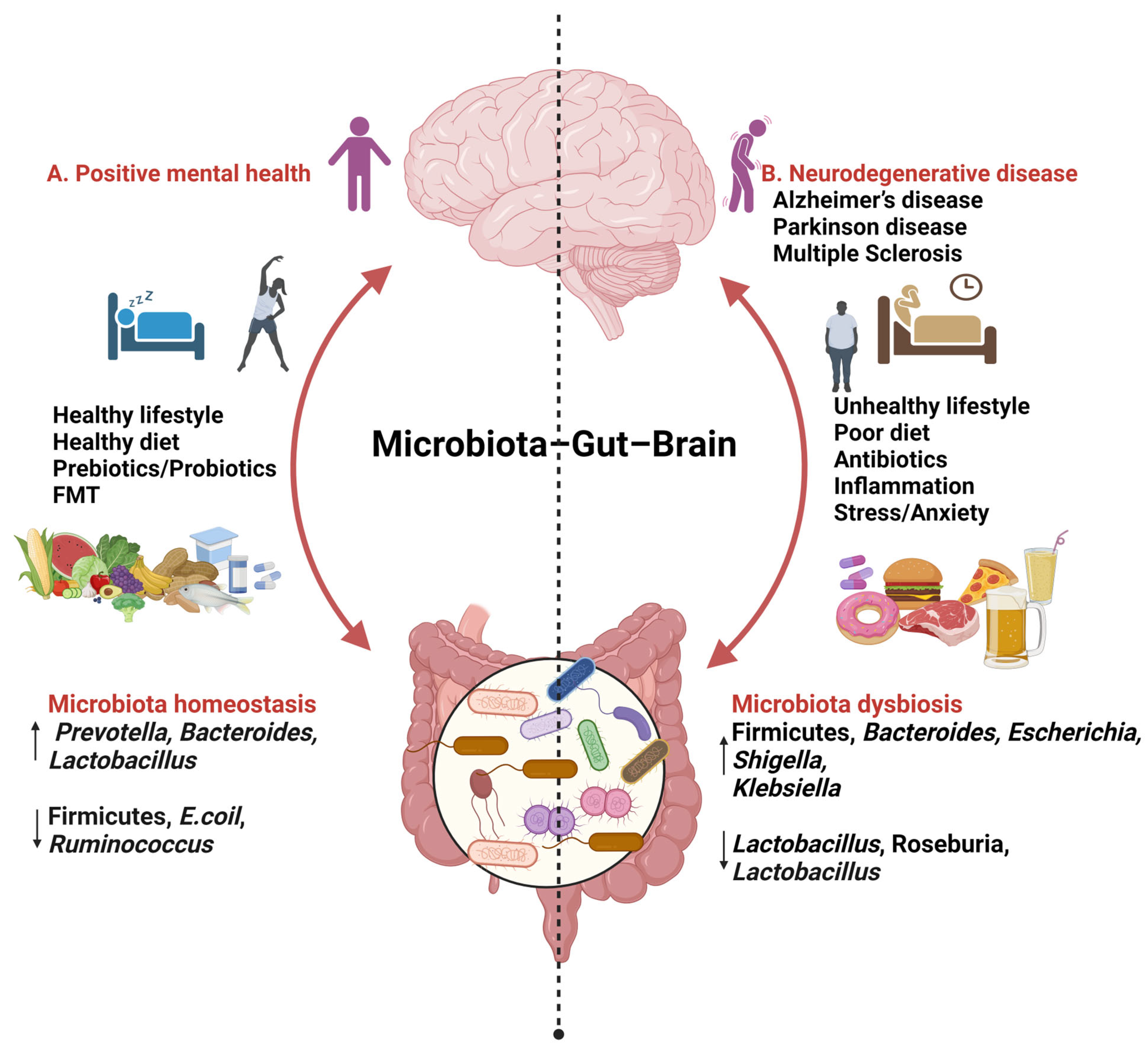 Nutrients 16 00412 g001