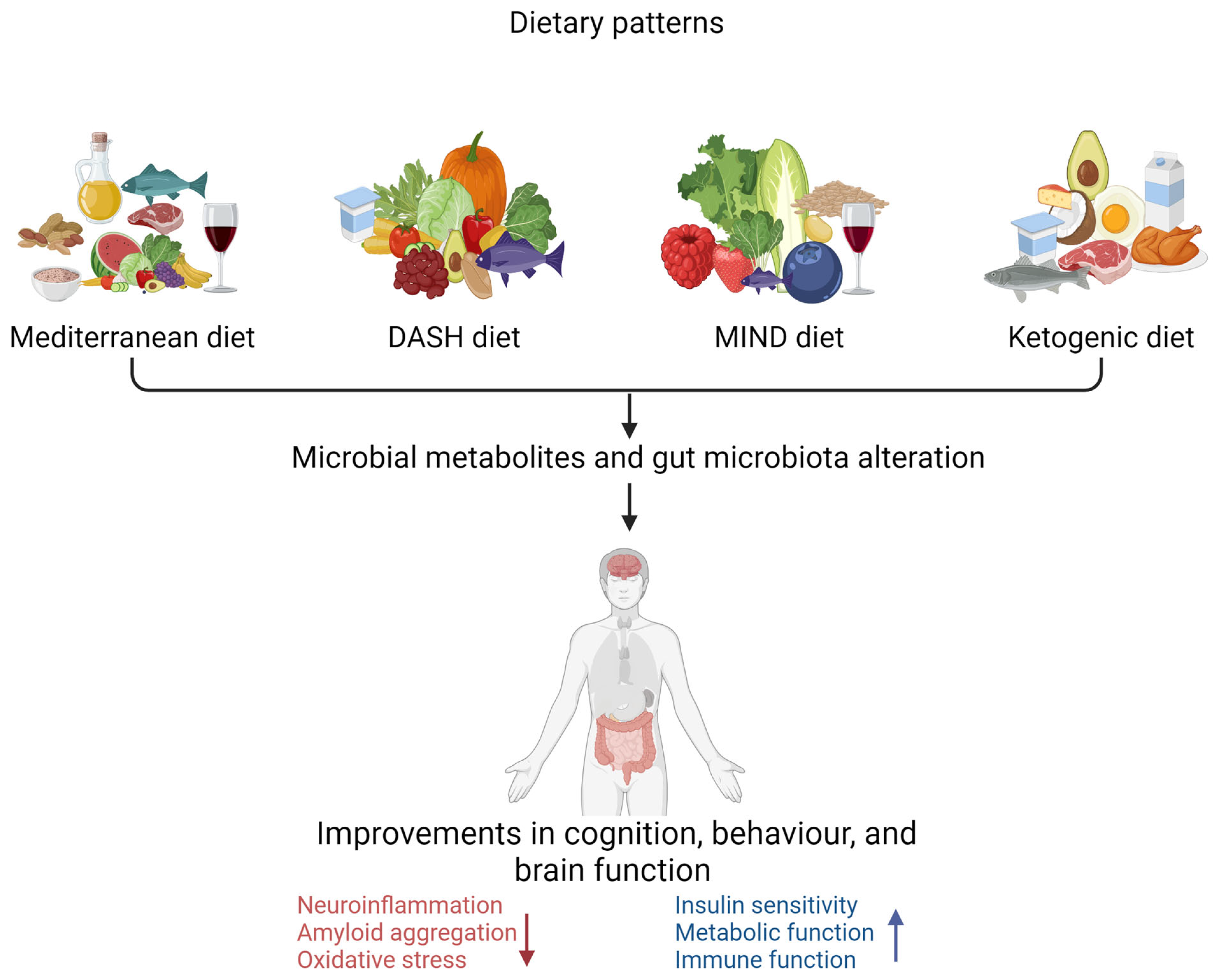 Nutrients 16 00412 g002