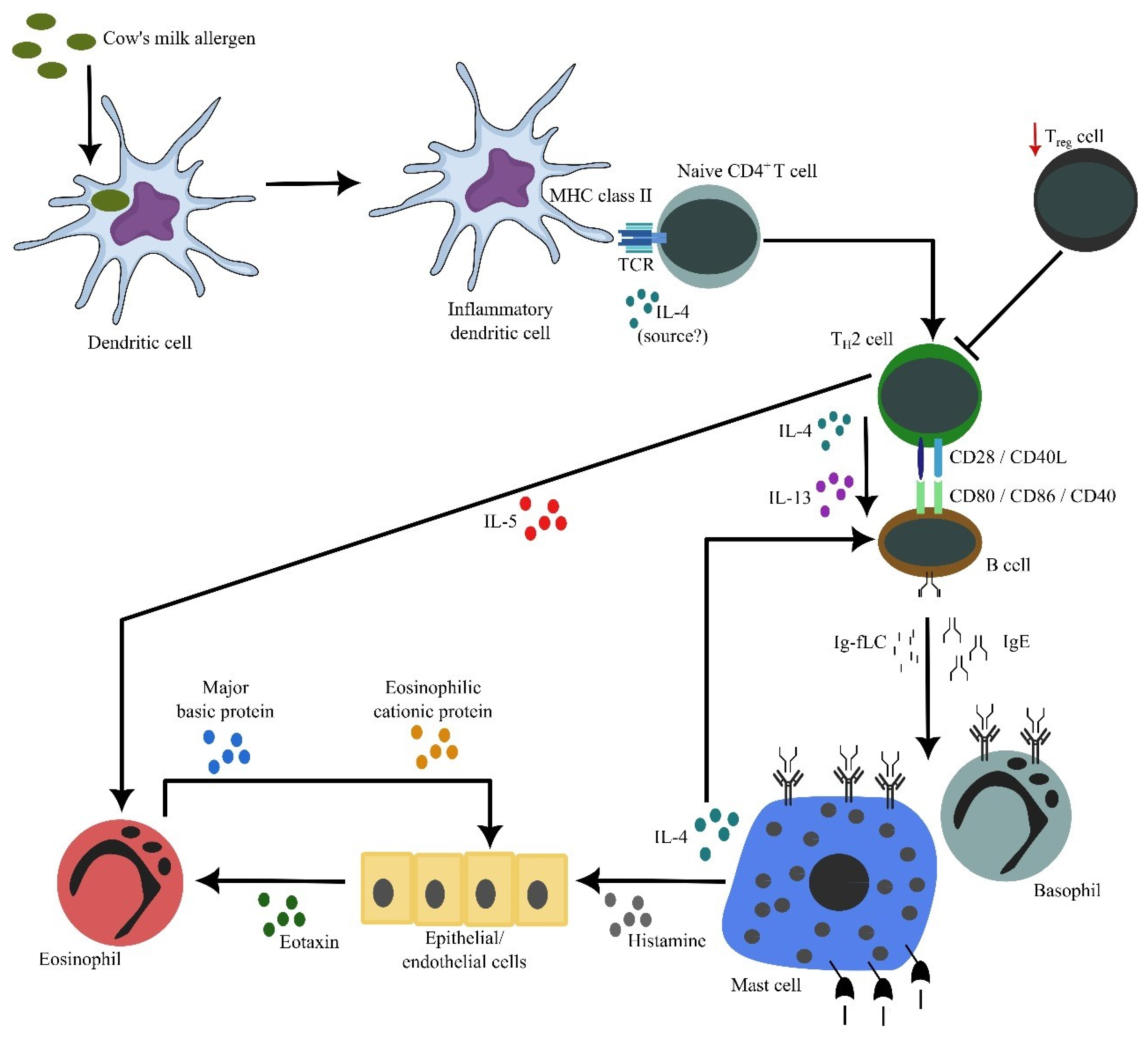 Nutrients 16 00414 g002