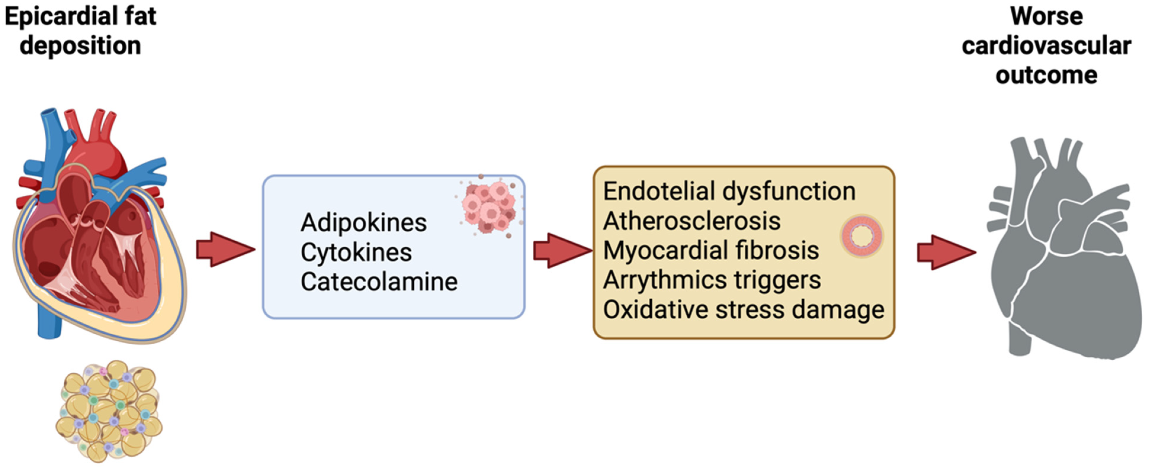 Nutrients 16 00420 g001