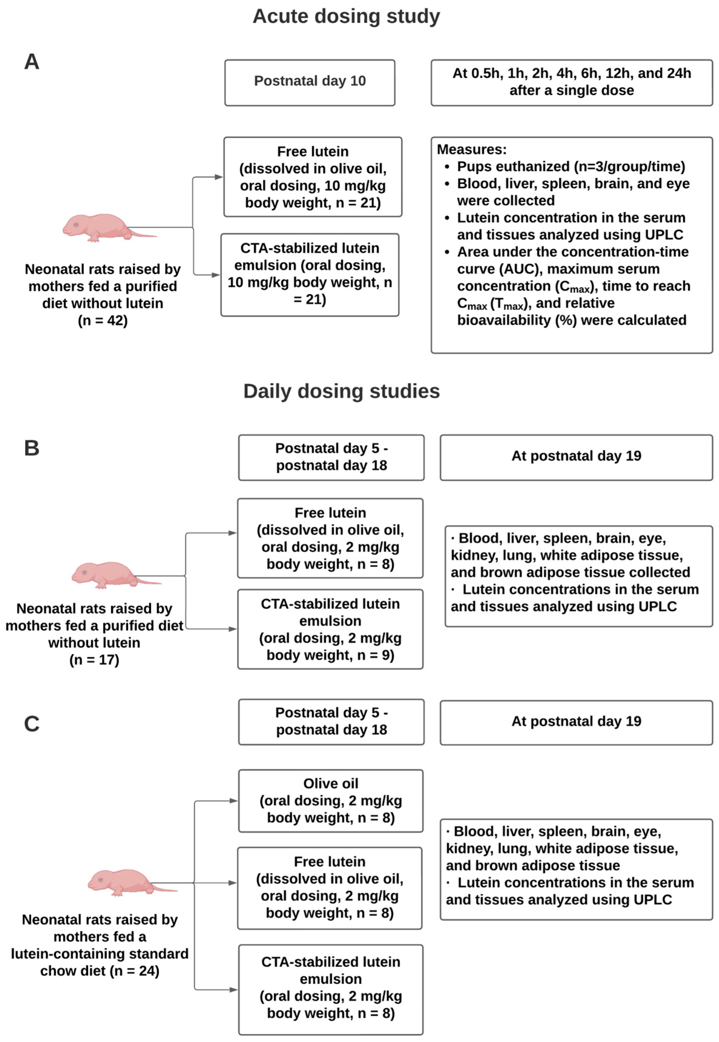 Nutrients 16 00422 g001