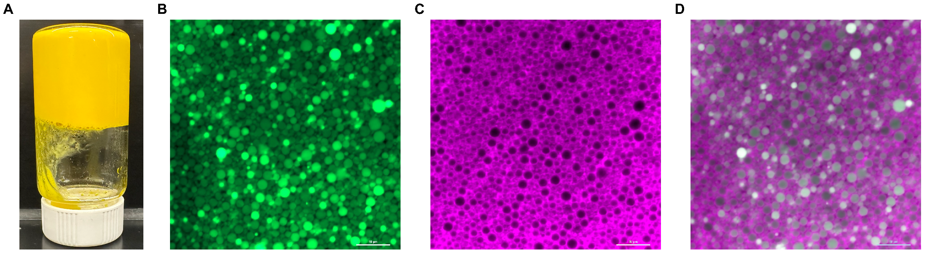 Nutrients 16 00422 g002