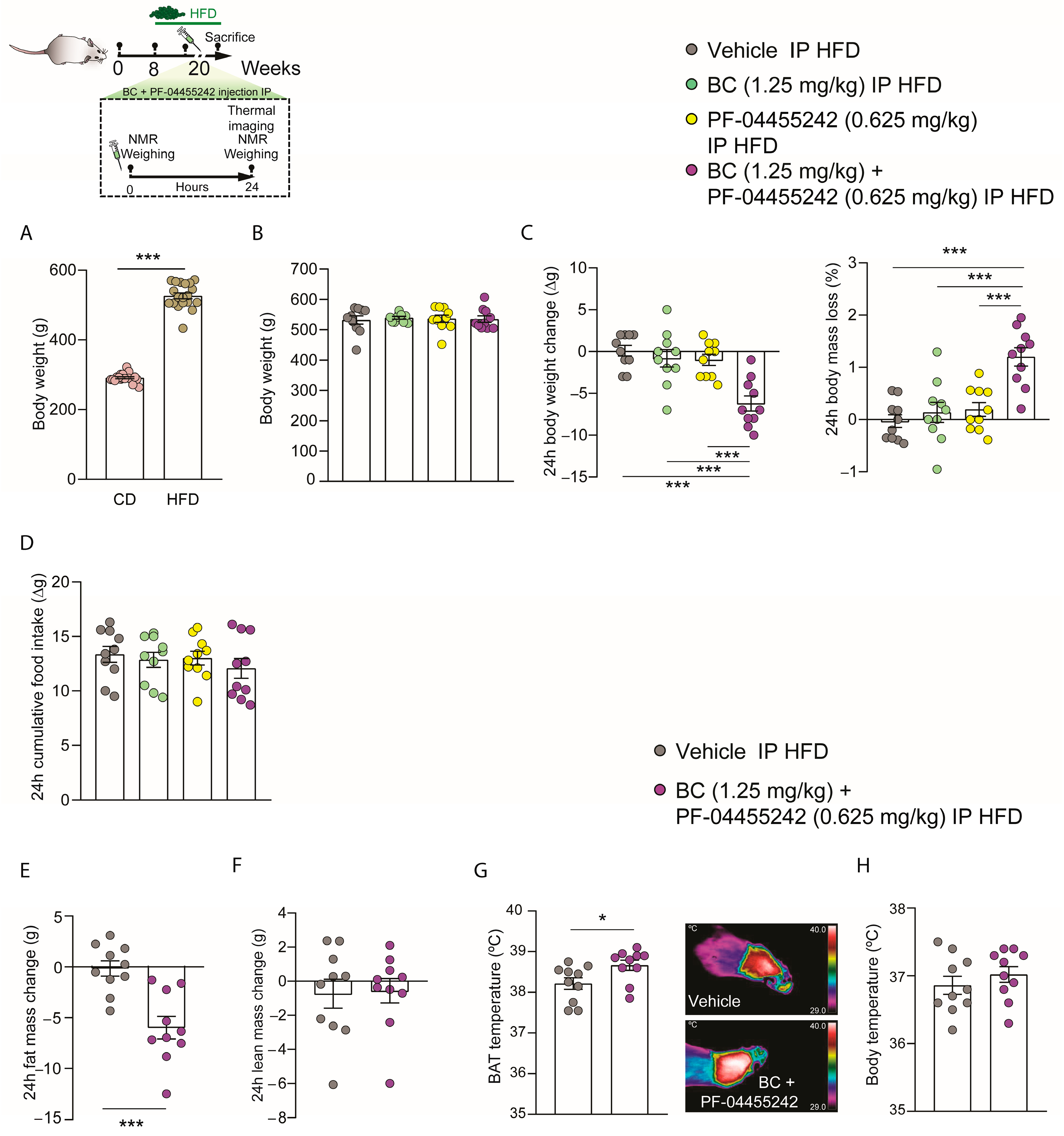 Nutrients 16 00424 g003