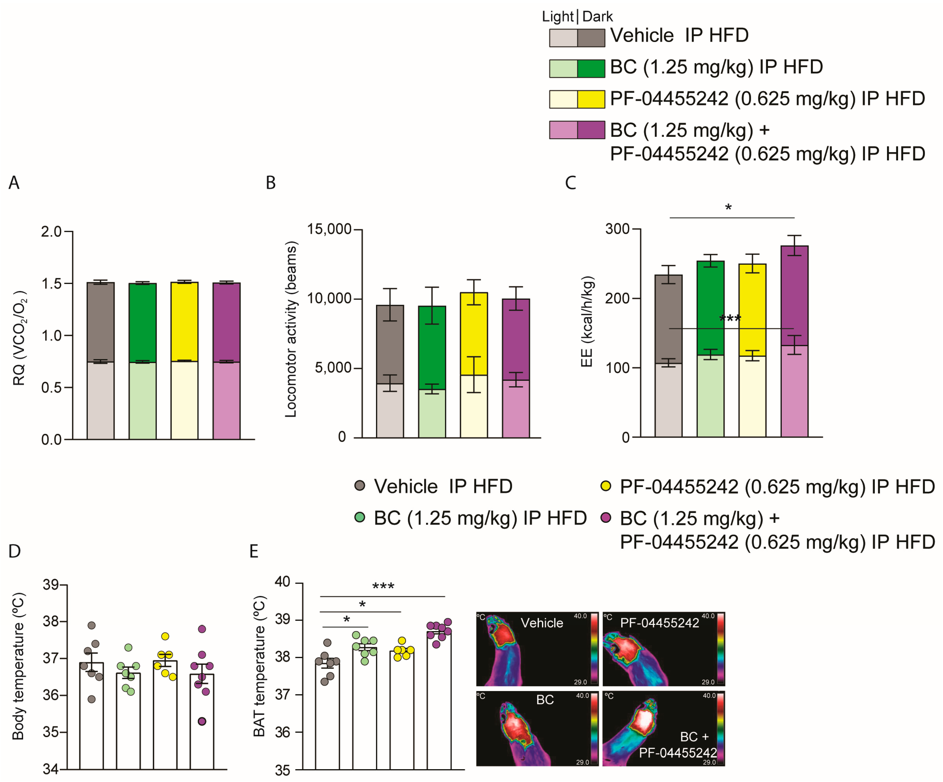 Nutrients 16 00424 g005