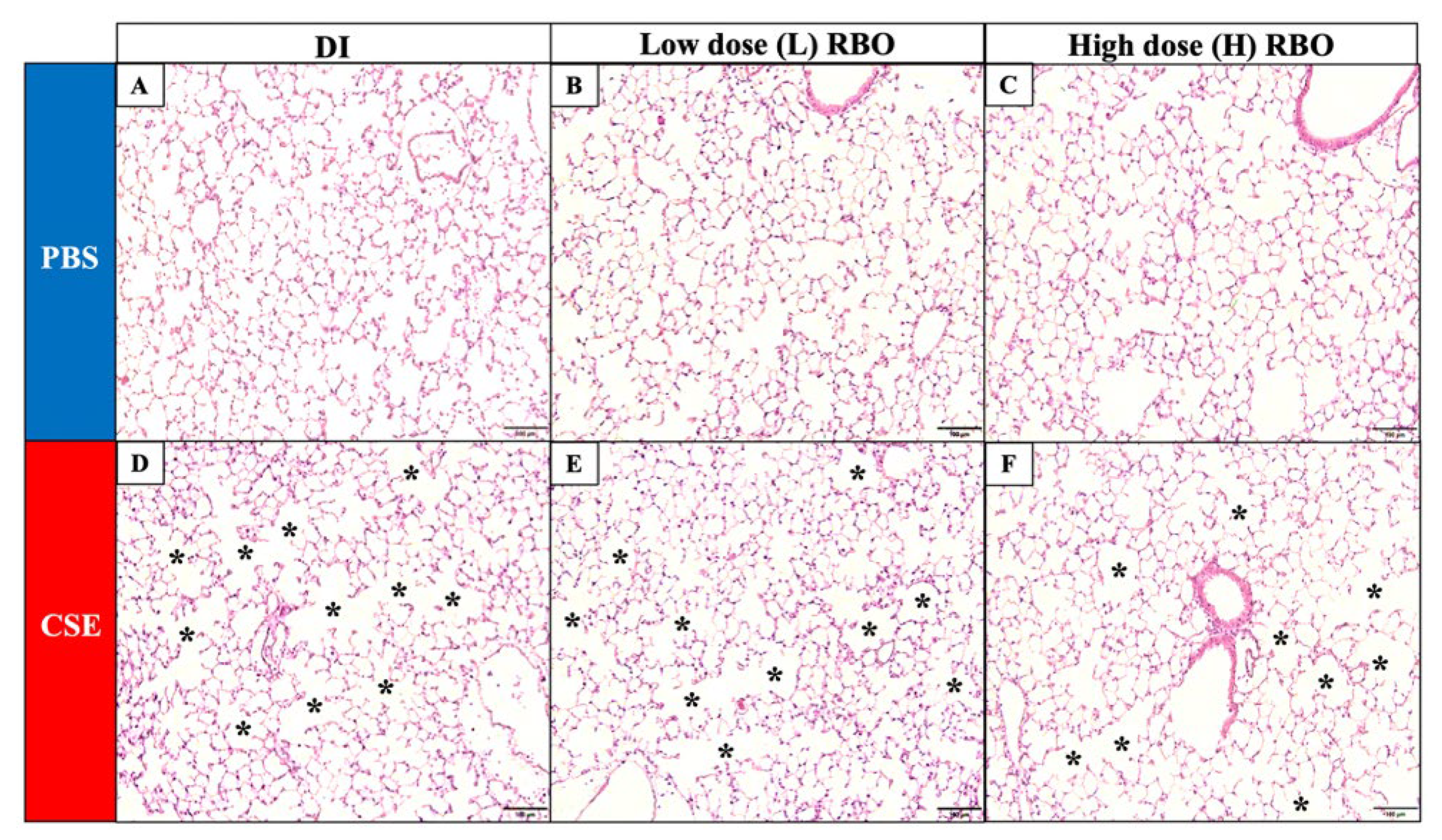 Nutrients 16 00433 g003a