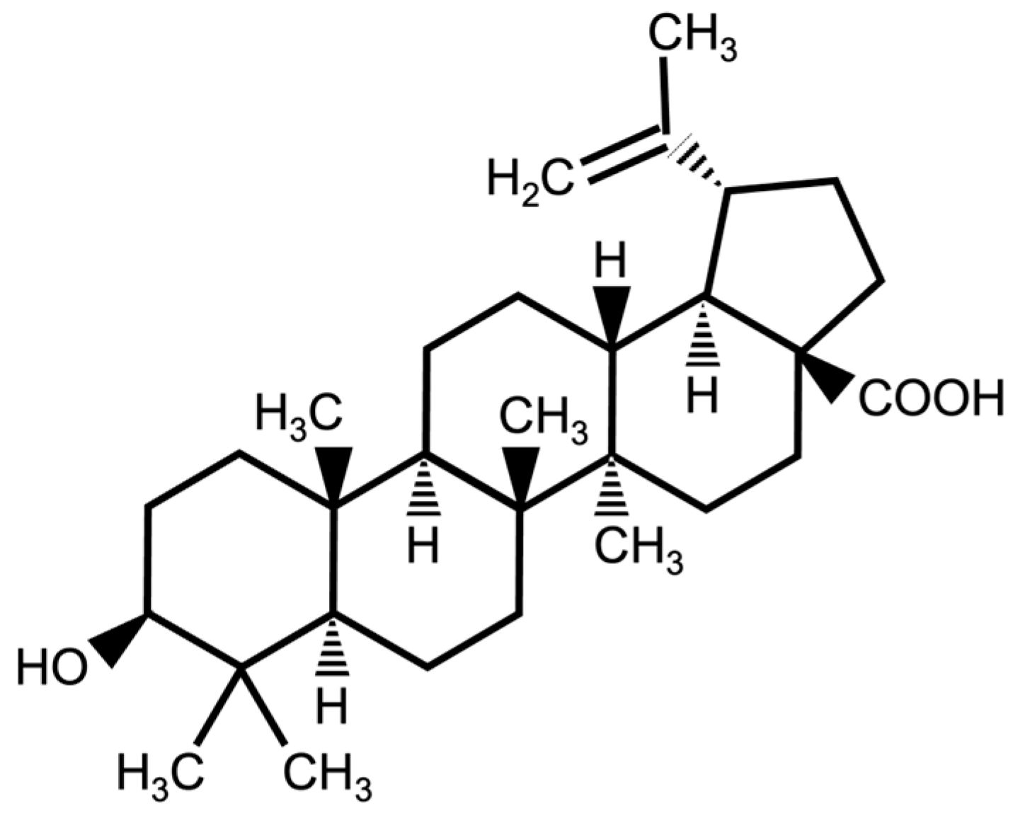 Nutrients 16 00441 g001 Nutrients 16 00441 g001