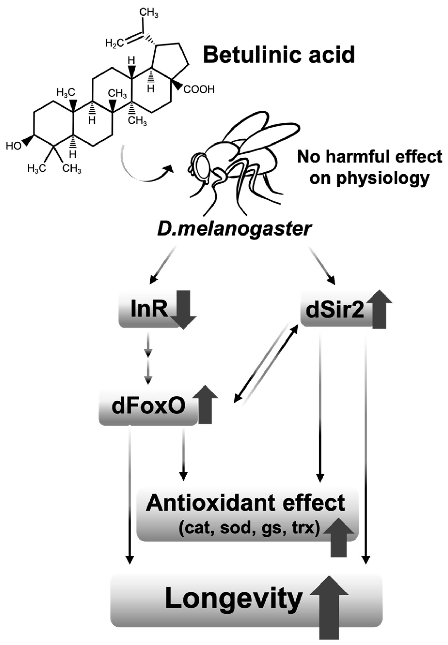Nutrients 16 00441 g006 Nutrients 16 00441 g006