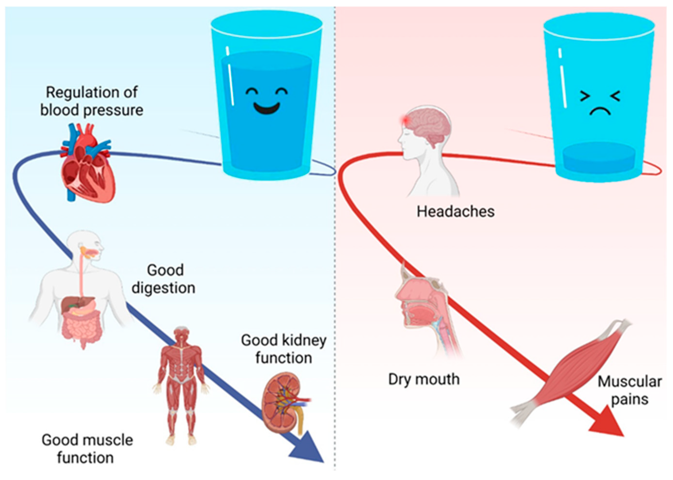Nutrients 16 00446 g002 Nutrients 16 00446 g002