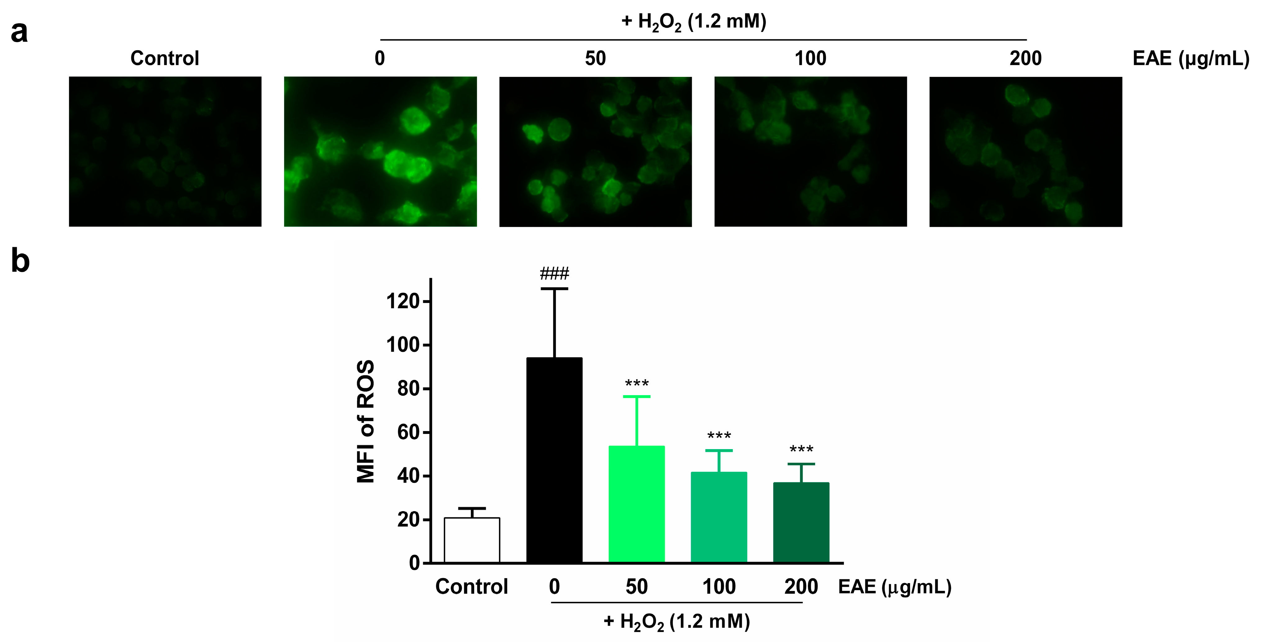Nutrients 16 00451 g002