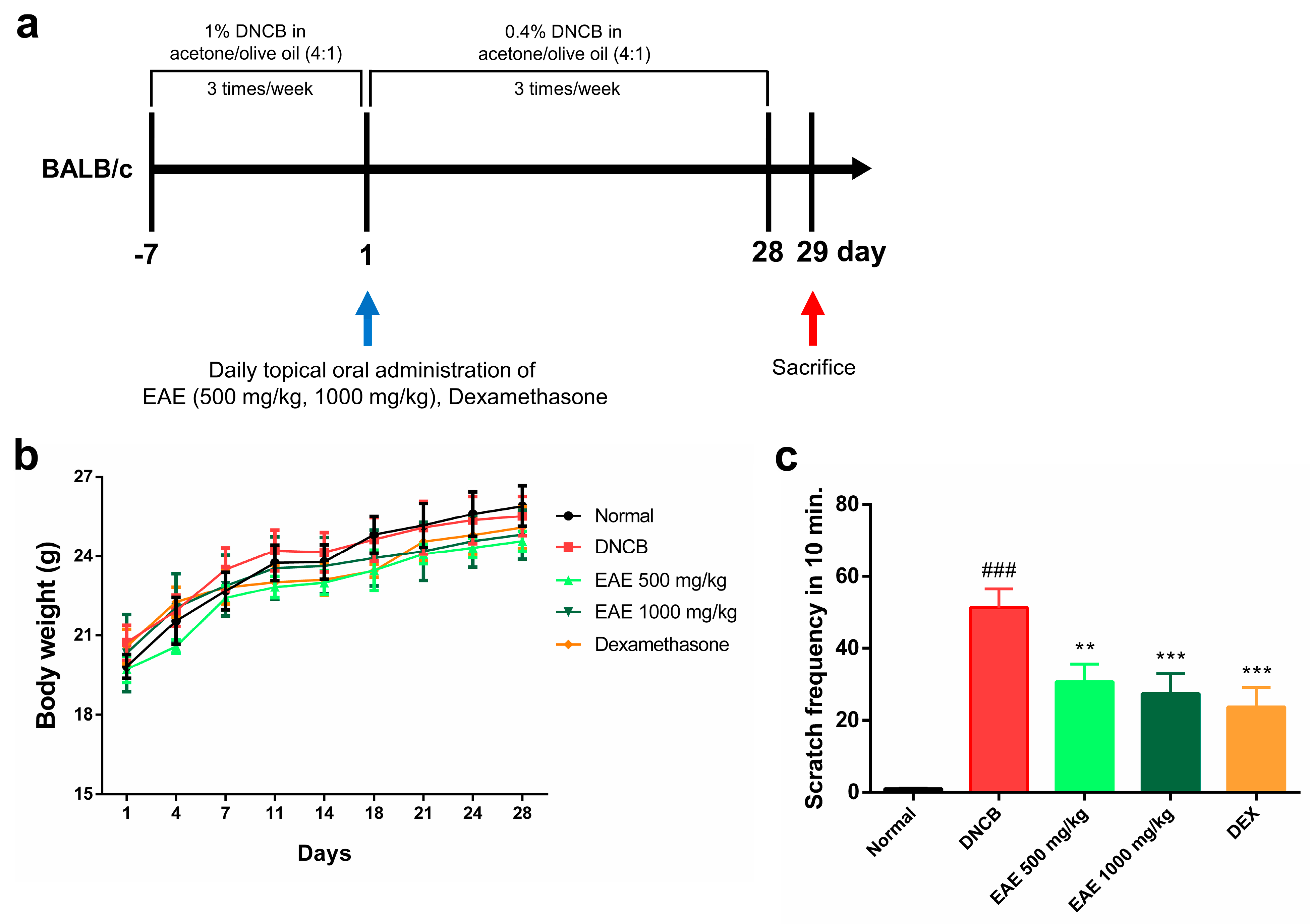 Nutrients 16 00451 g004