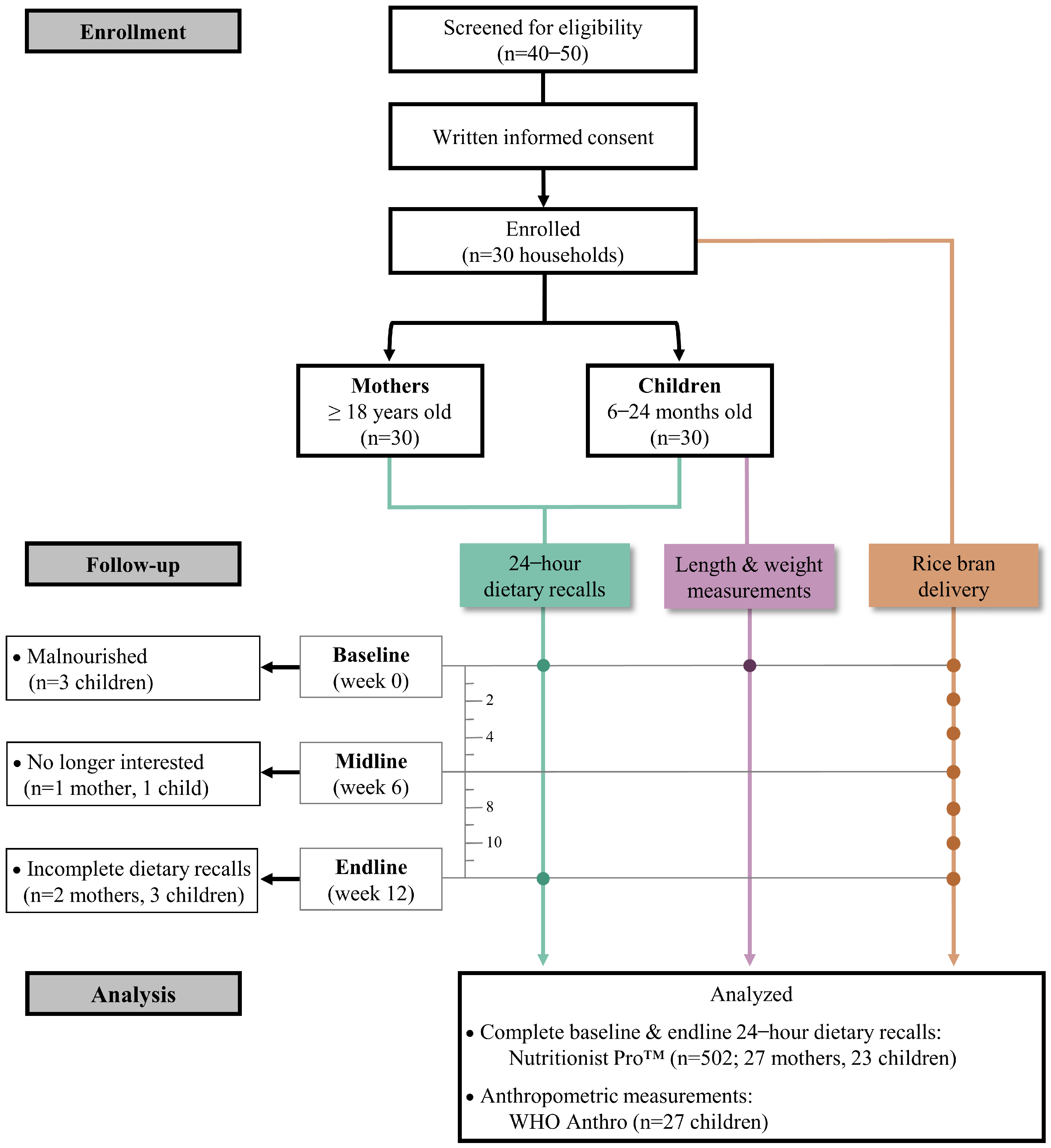 Nutrients 16 00460 g001